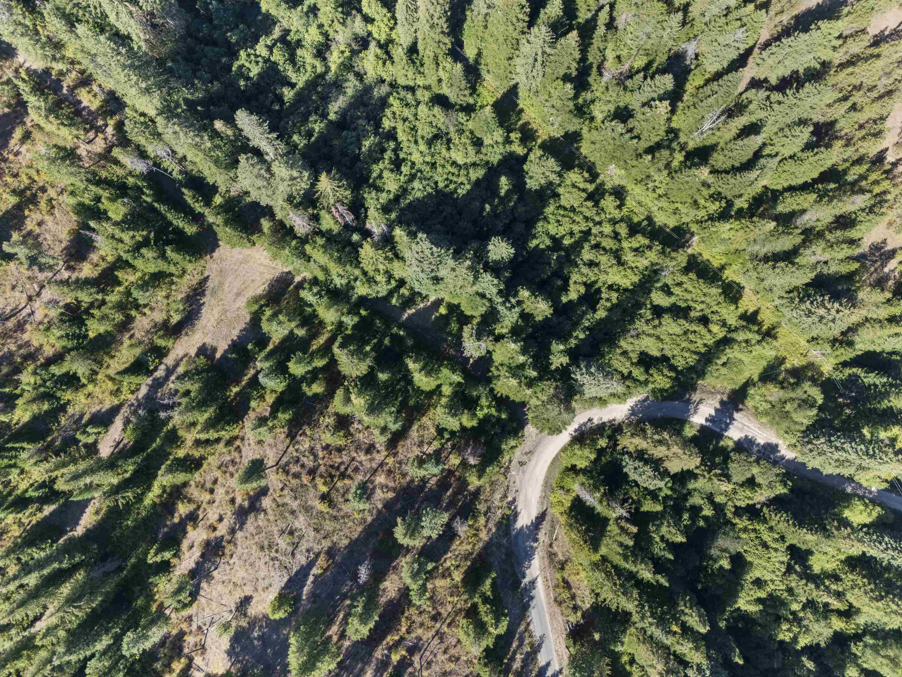 114XX E Antler Rd - Photo 27