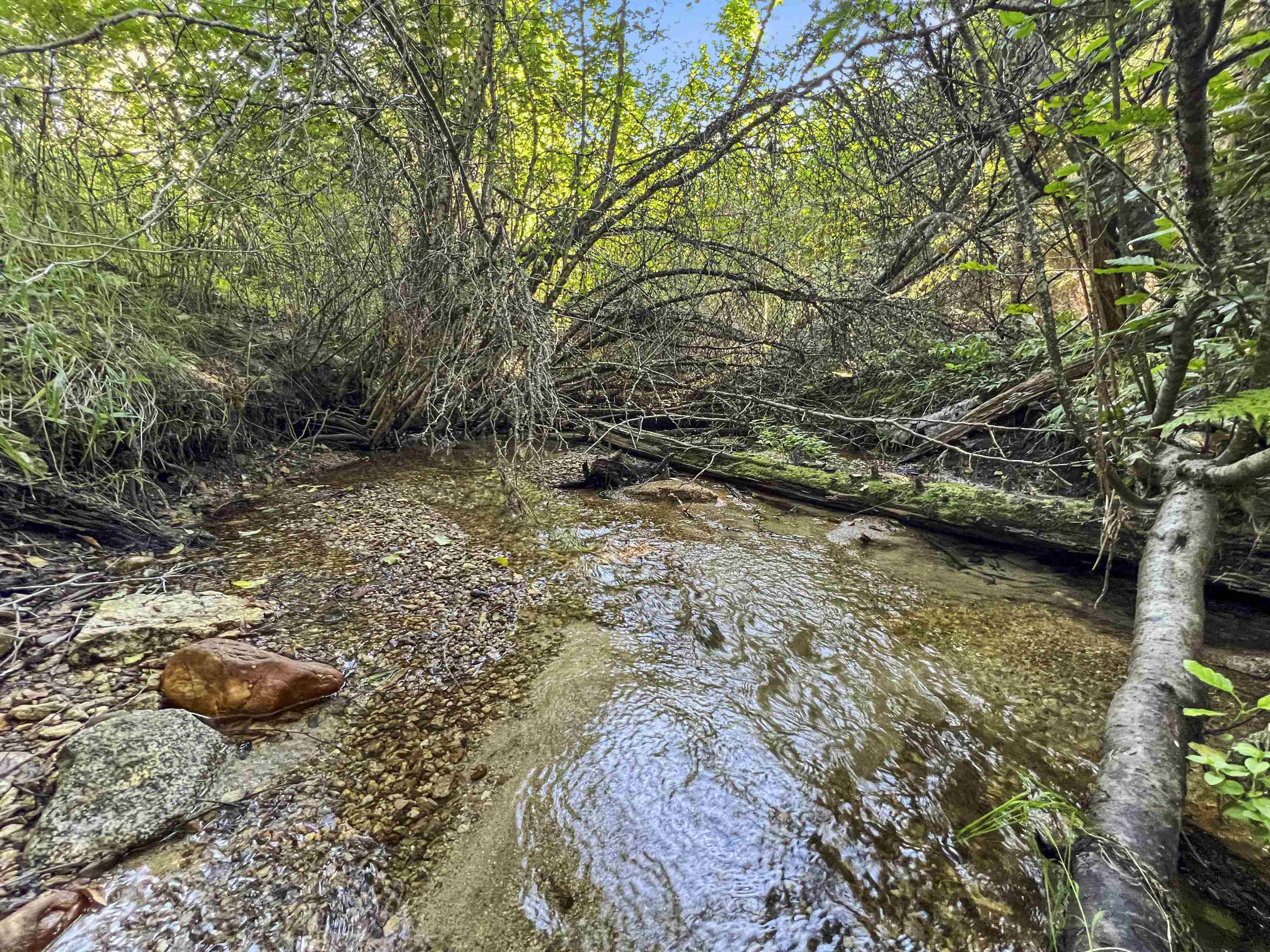 114XX E Antler Rd - Photo 33