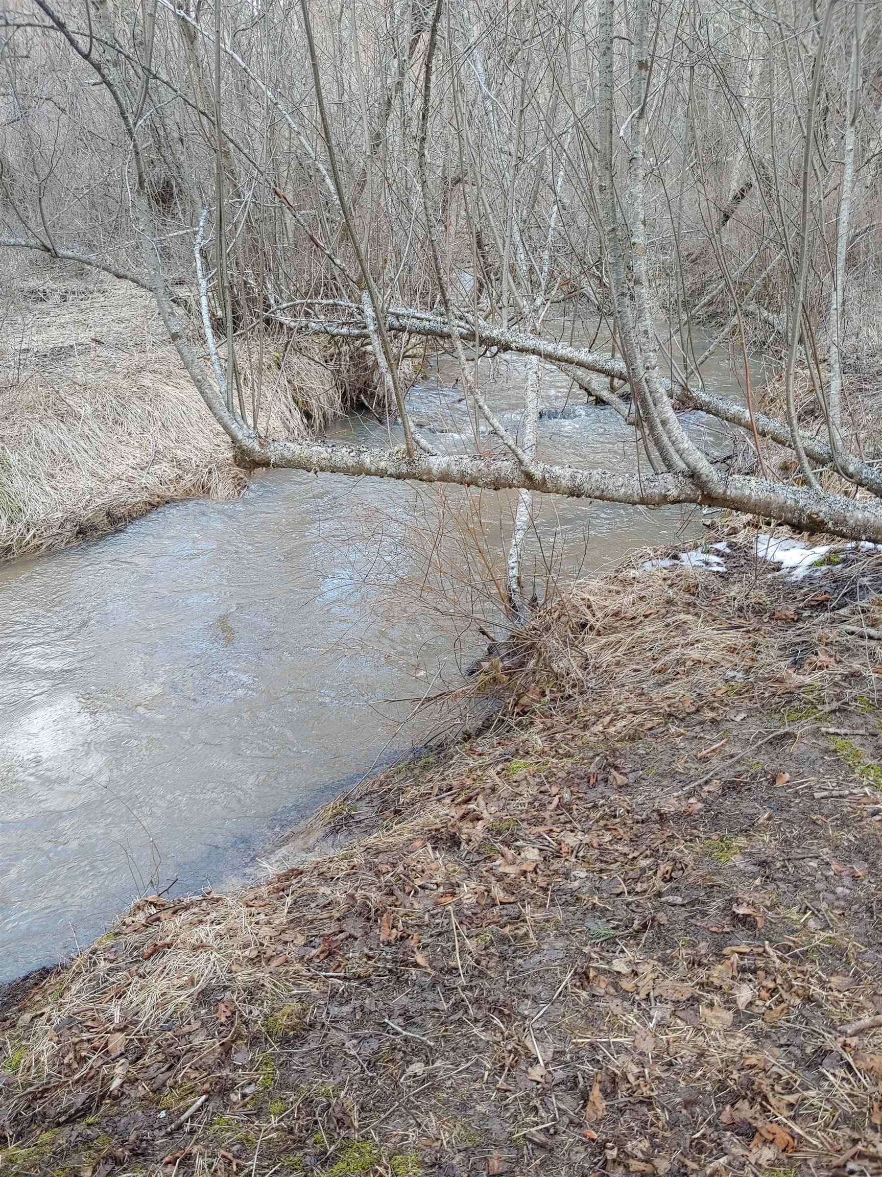 114XX E Antler Rd - Photo 34