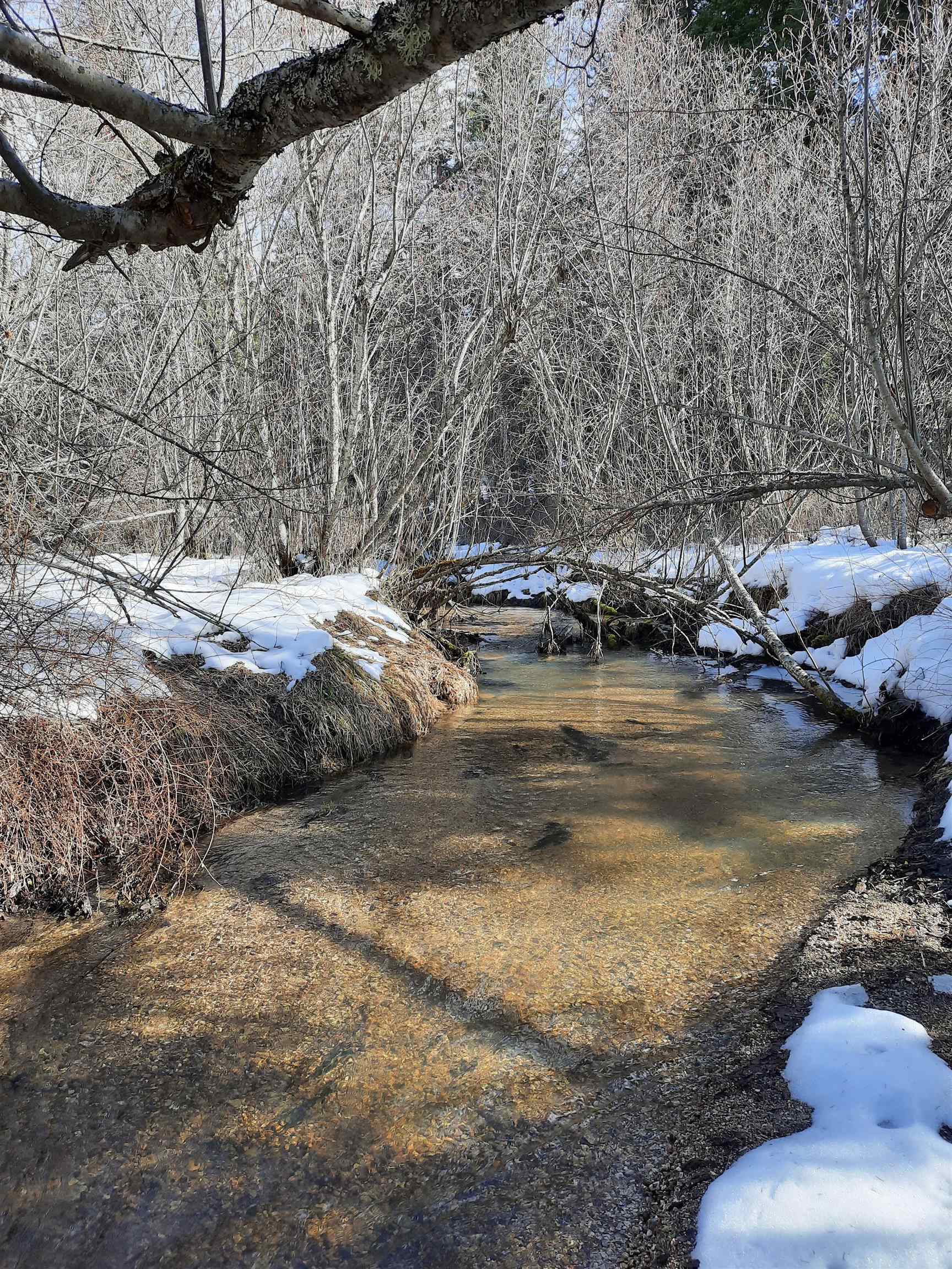 114XX E Antler Rd - Photo 36