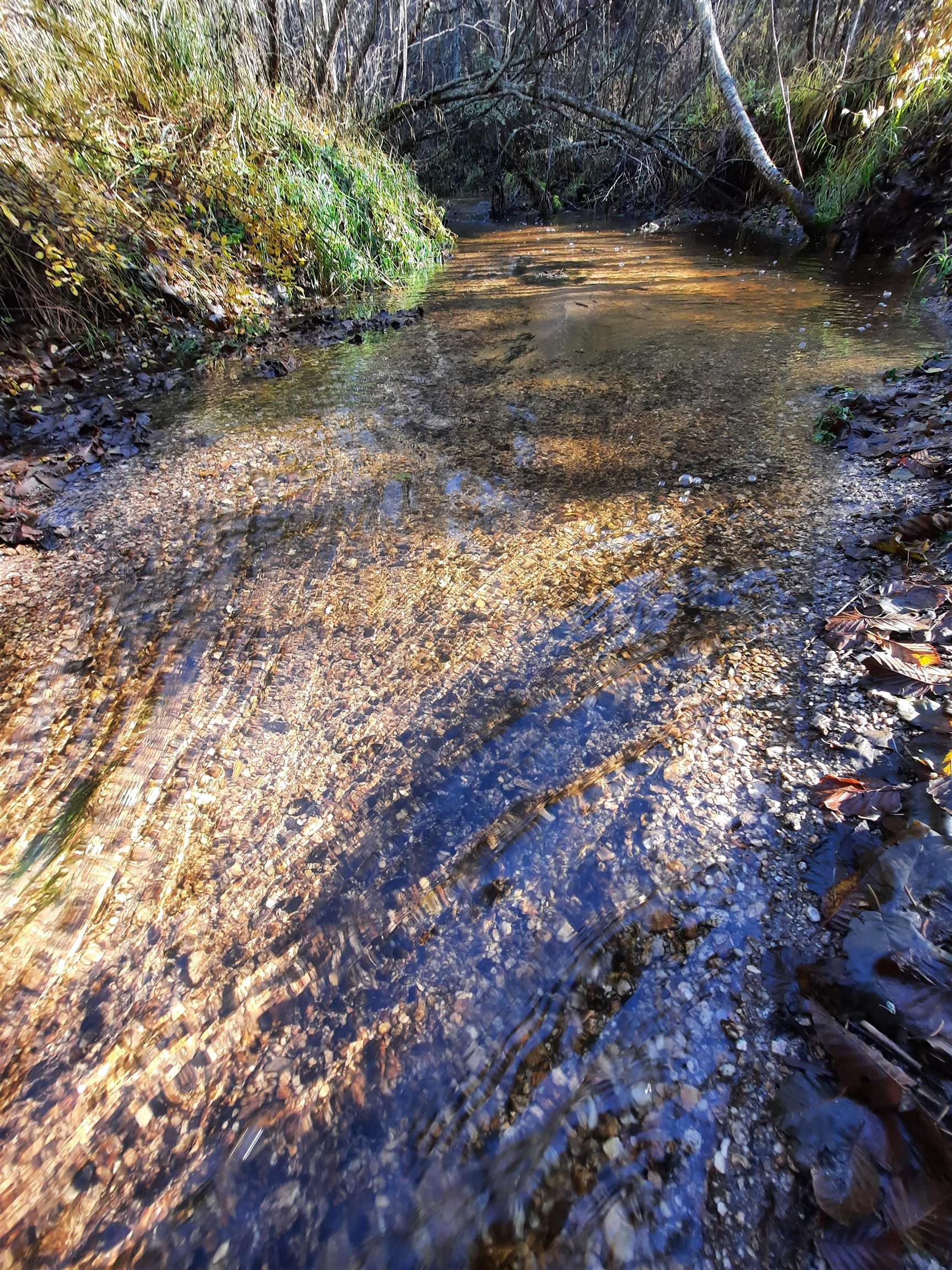 114XX E Antler Rd - Photo 2