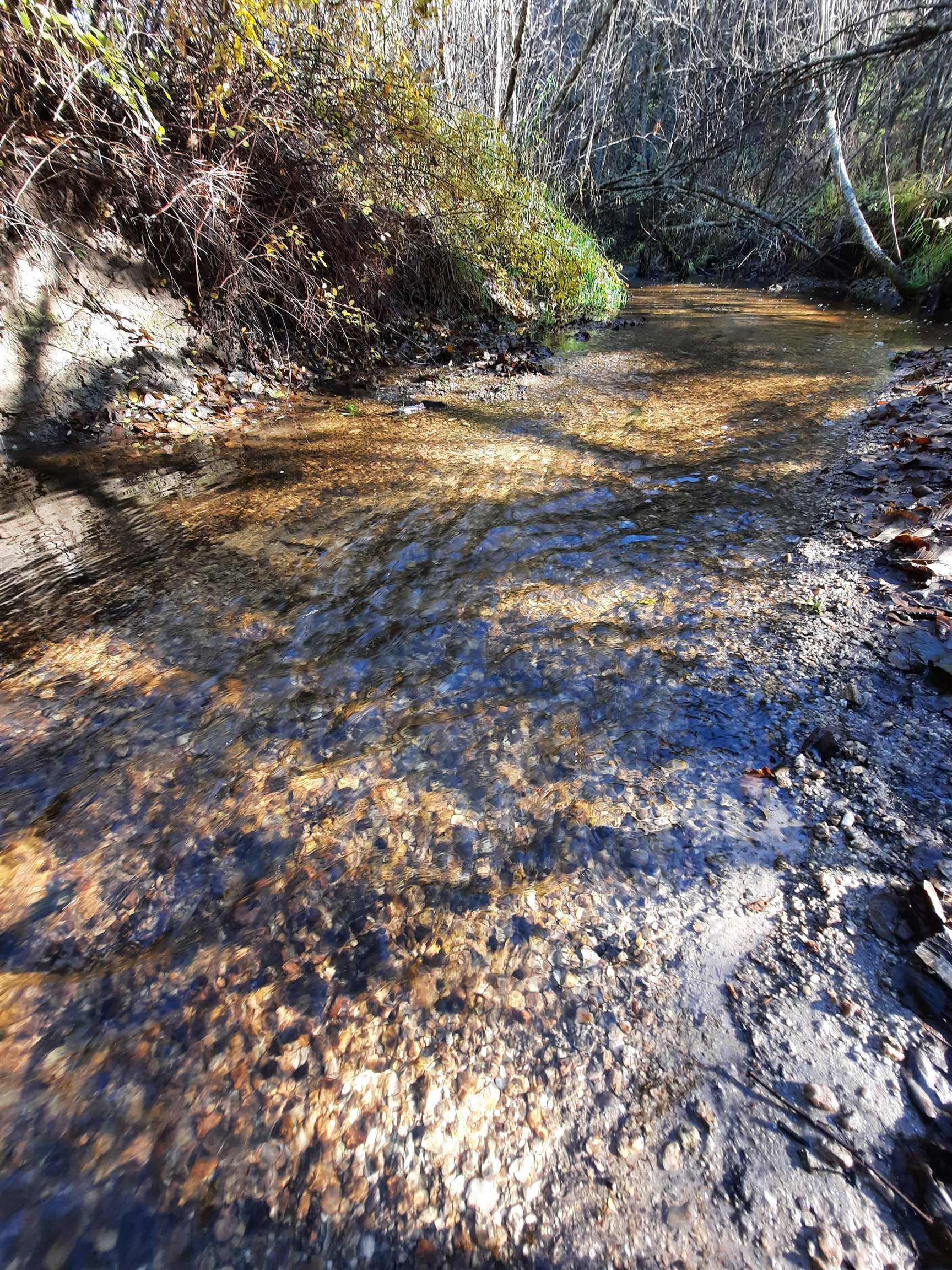114XX E Antler Rd - Photo 37