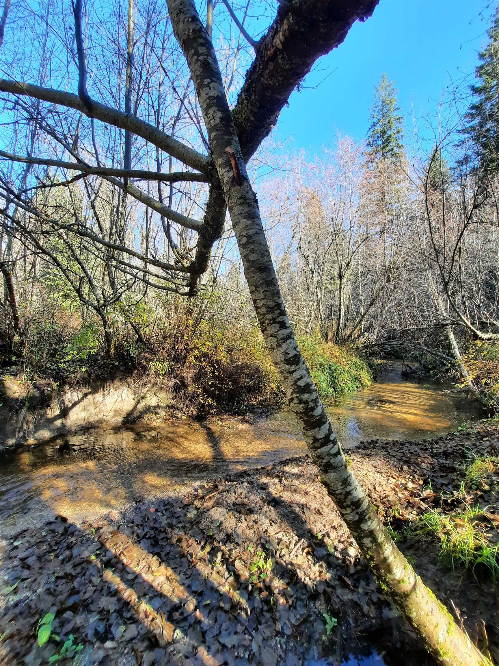 114XX E Antler Rd - Photo 38