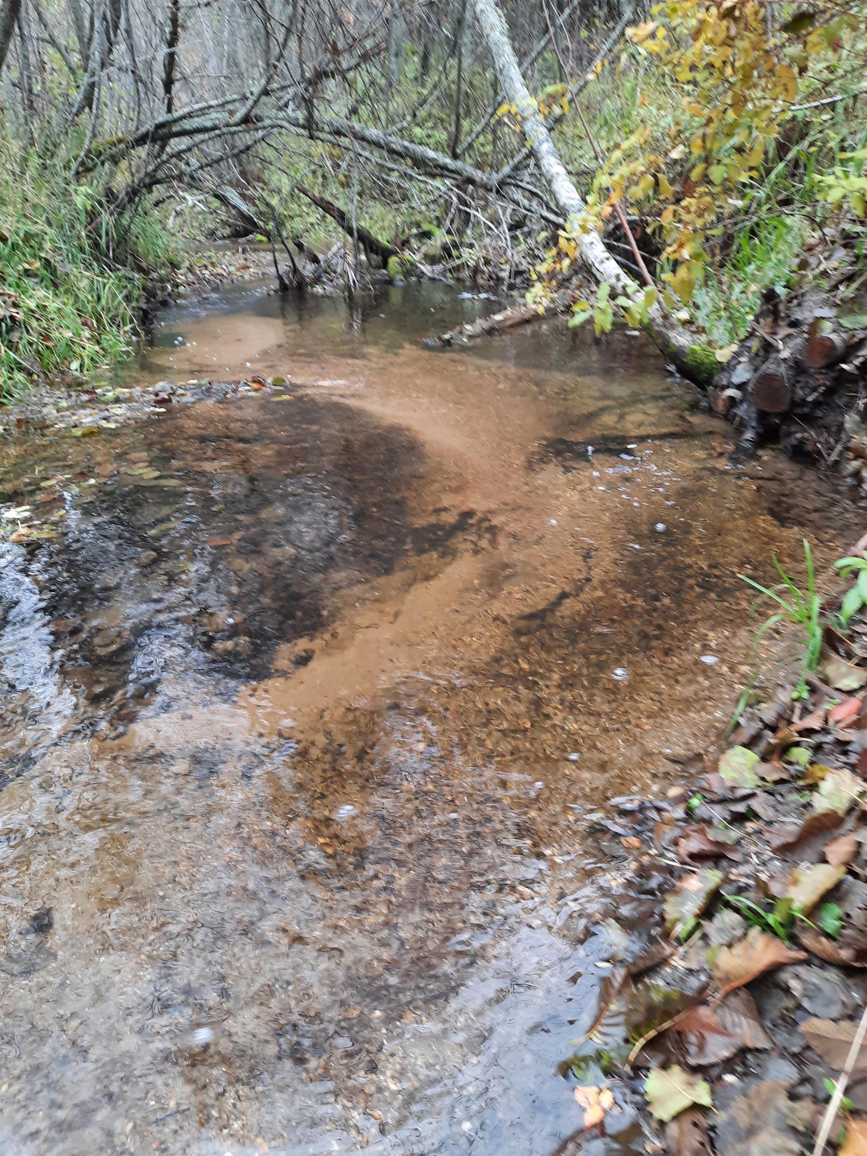 114XX E Antler Rd - Photo 39