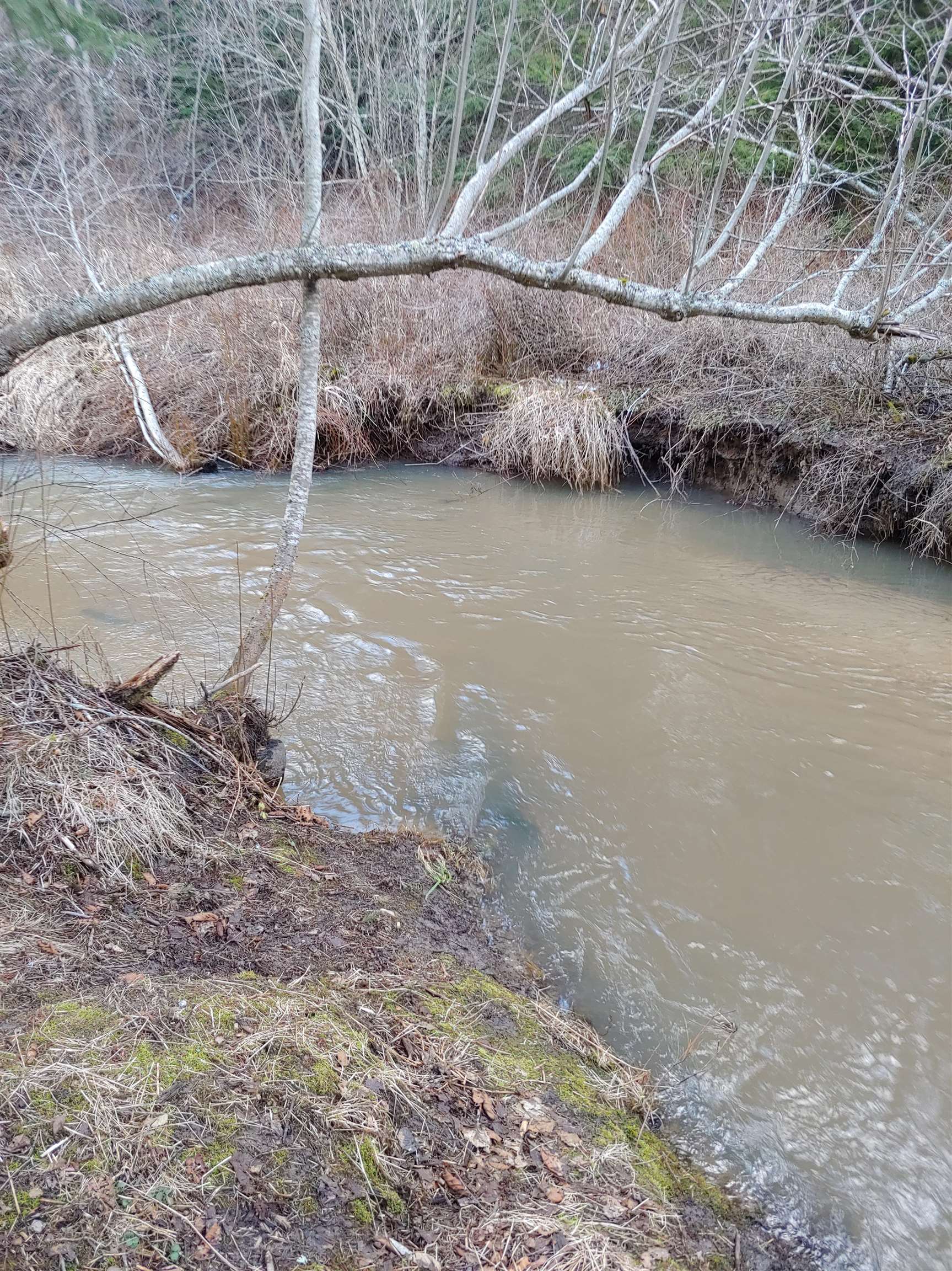 114XX E Antler Rd - Photo 40