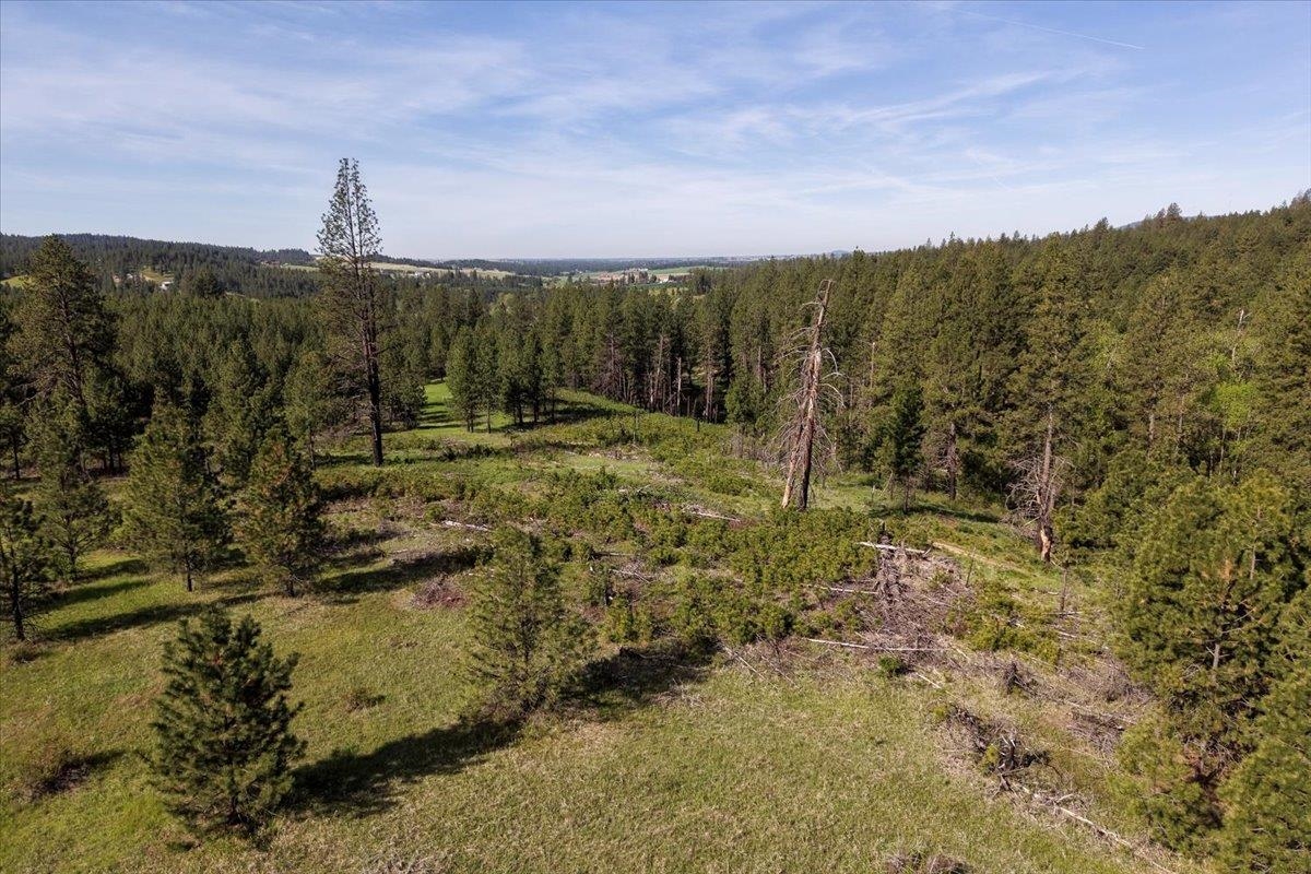TBD E Belmont Rd - Photo 8