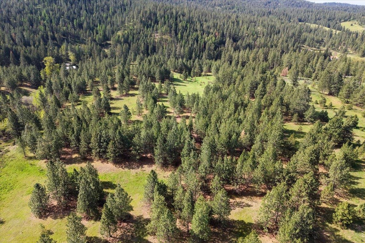 TBD E Belmont Rd - Photo 13