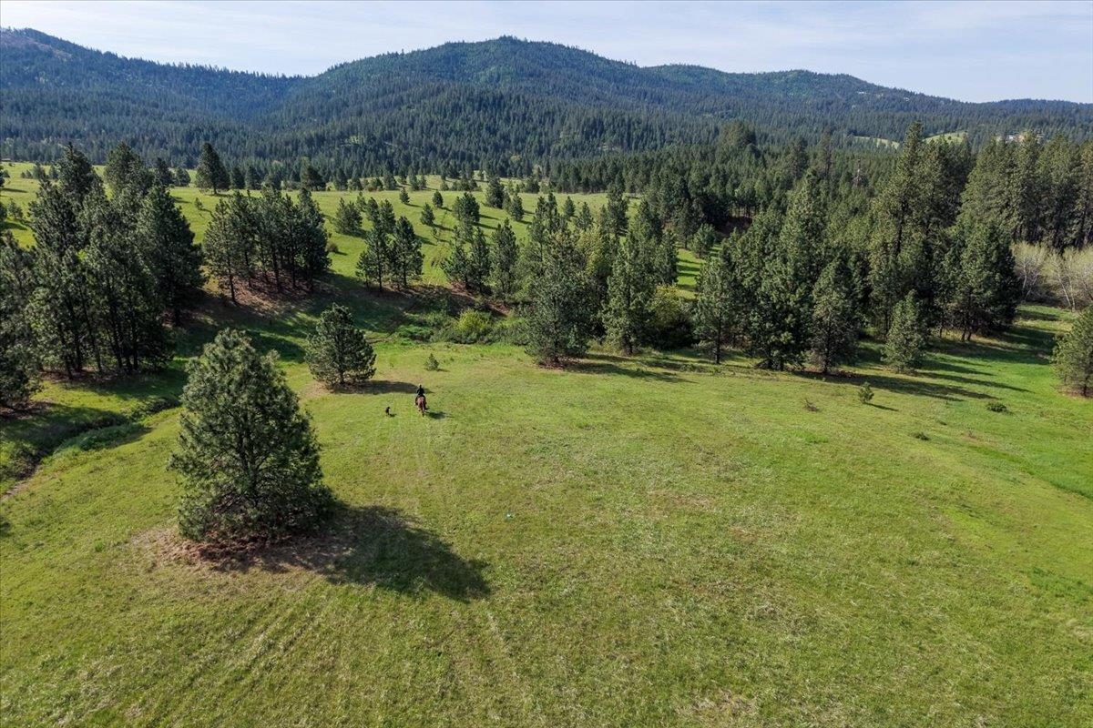TBD E Belmont Rd - Photo 16