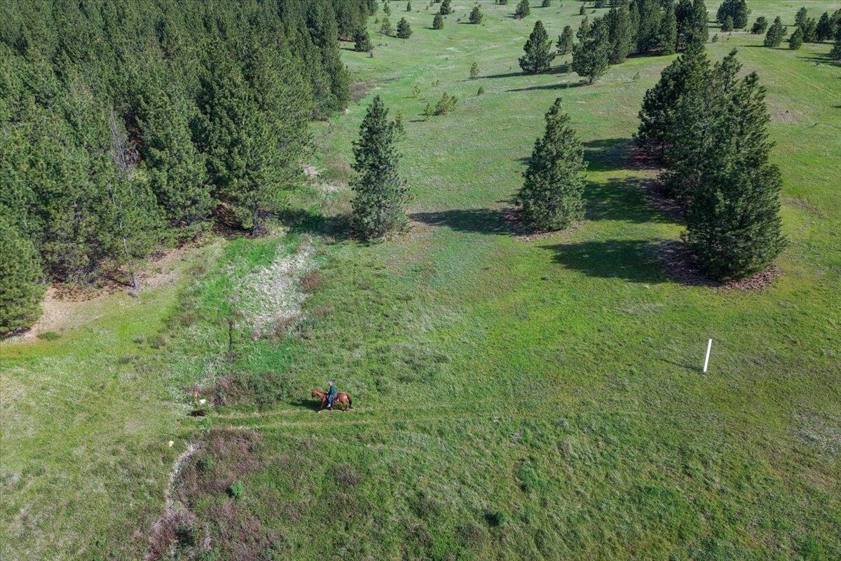 TBD E Belmont Rd - Photo 22