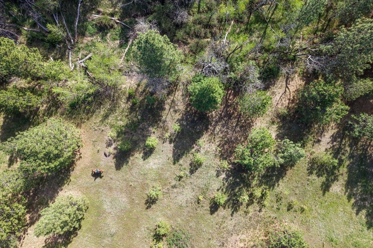 TBD E Belmont Rd - Photo 23