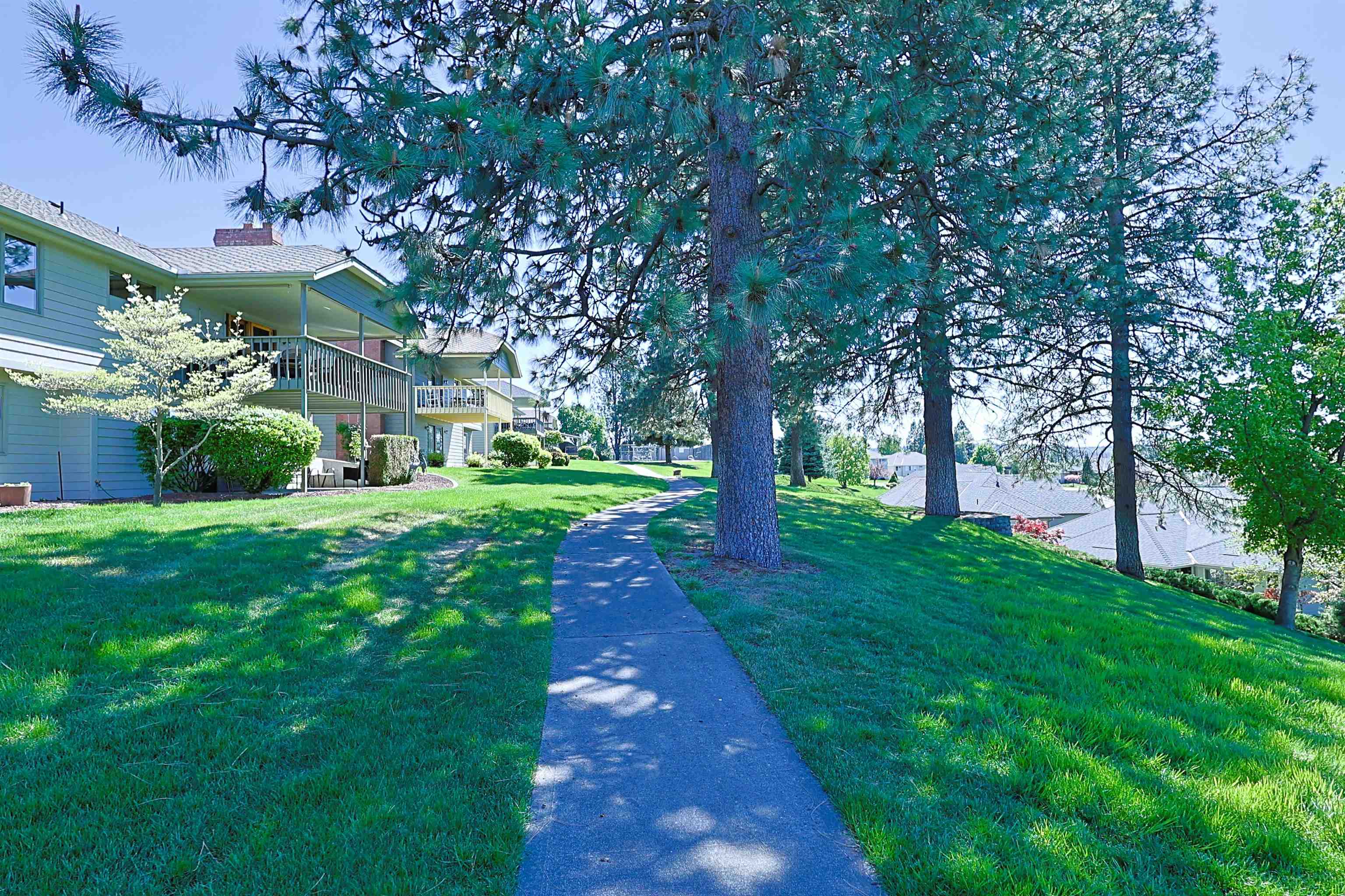 9803 N COMANCHE Dr - Photo 38