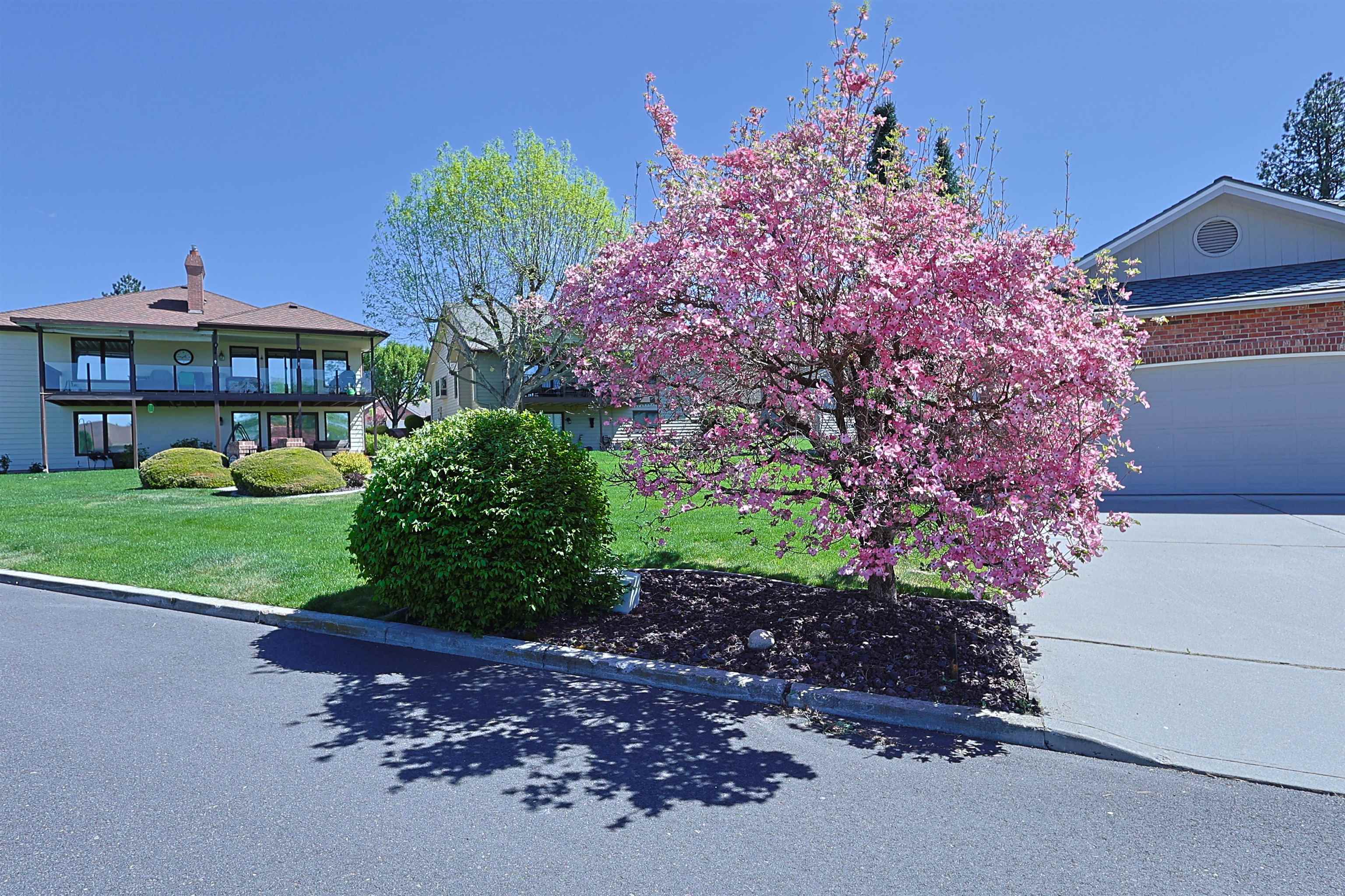 9803 N COMANCHE Dr - Photo 45
