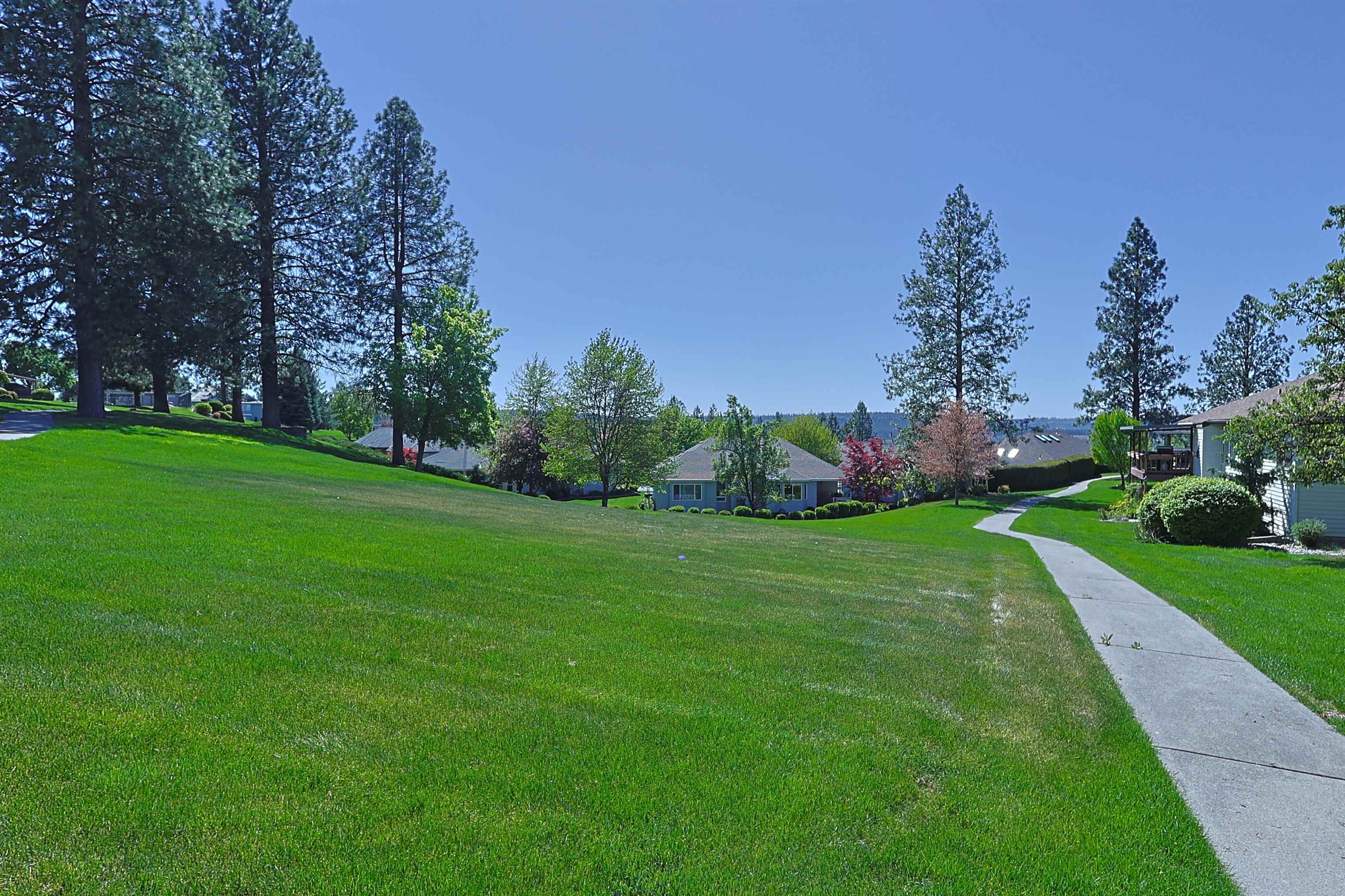 9803 N COMANCHE Dr - Photo 39