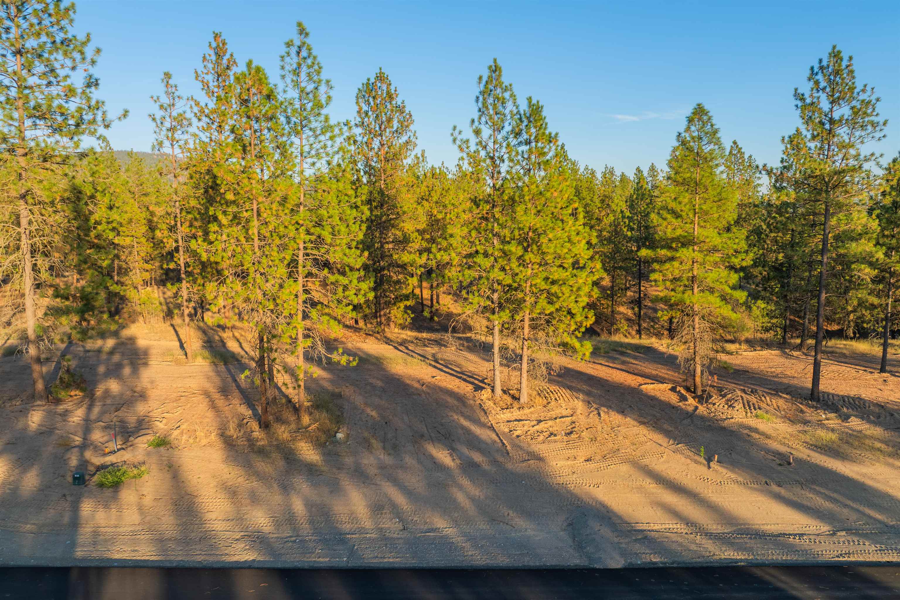Lot 28 Legacy Way - Photo 1