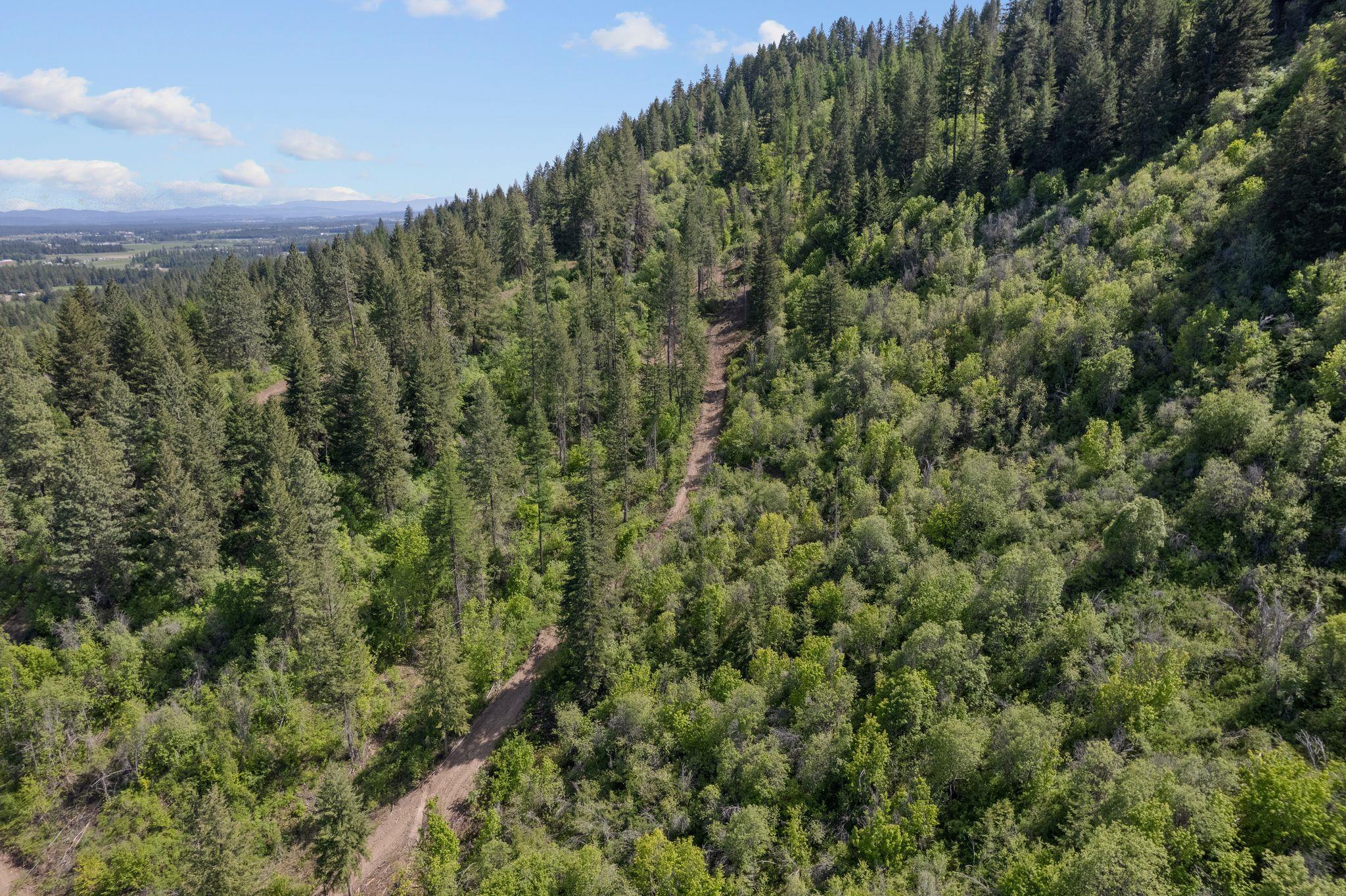 4941 Redman Lots A, B, C Rd - Photo 4
