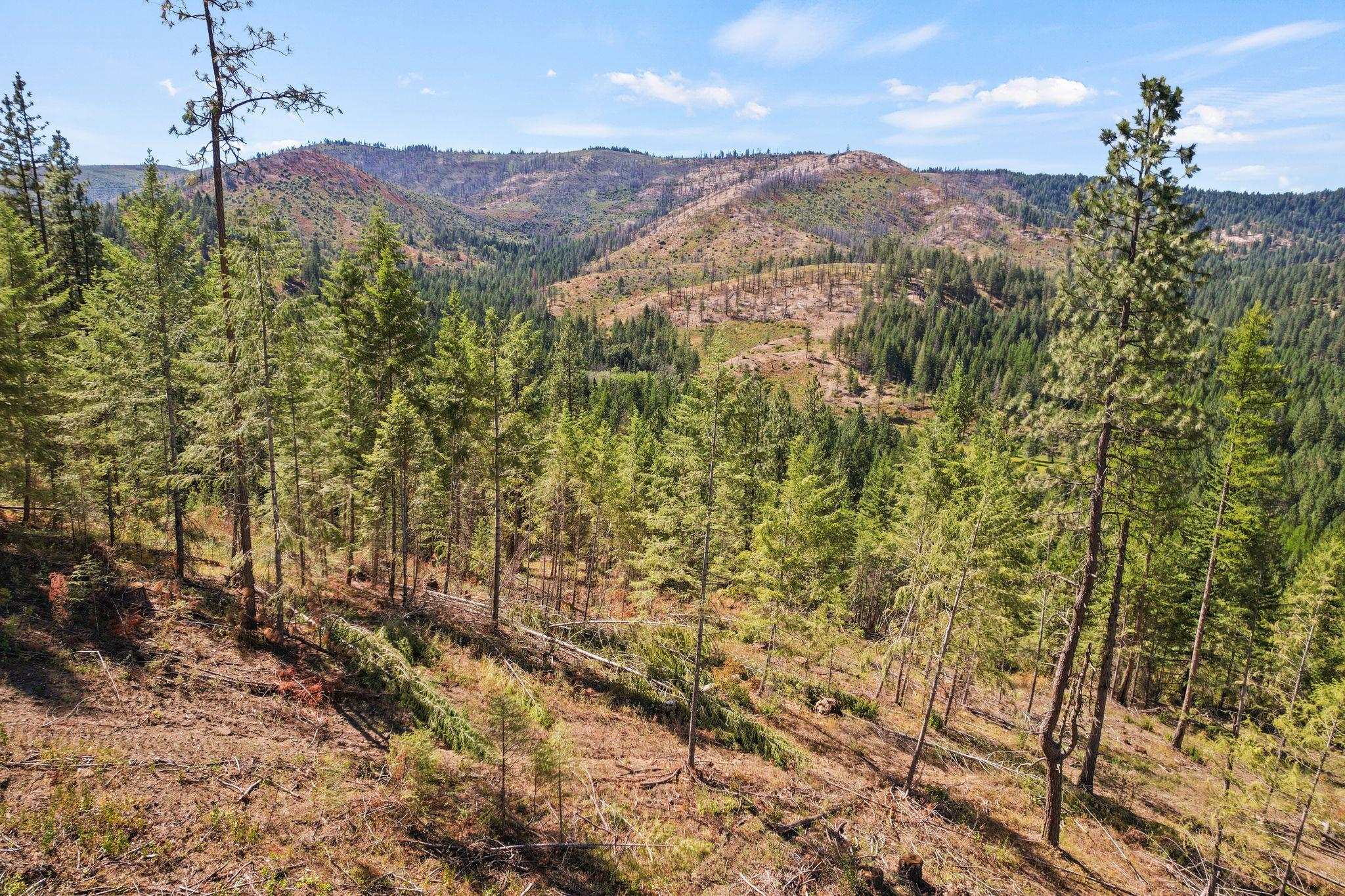 4941 Redman Lots A, B, C Rd - Photo 29