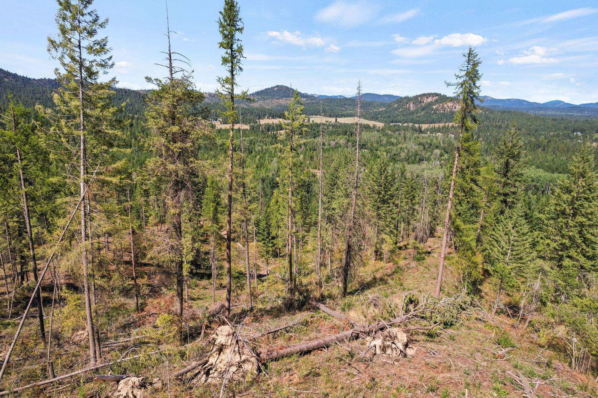 4941 Redman Lots A, B, C Rd - Photo 31