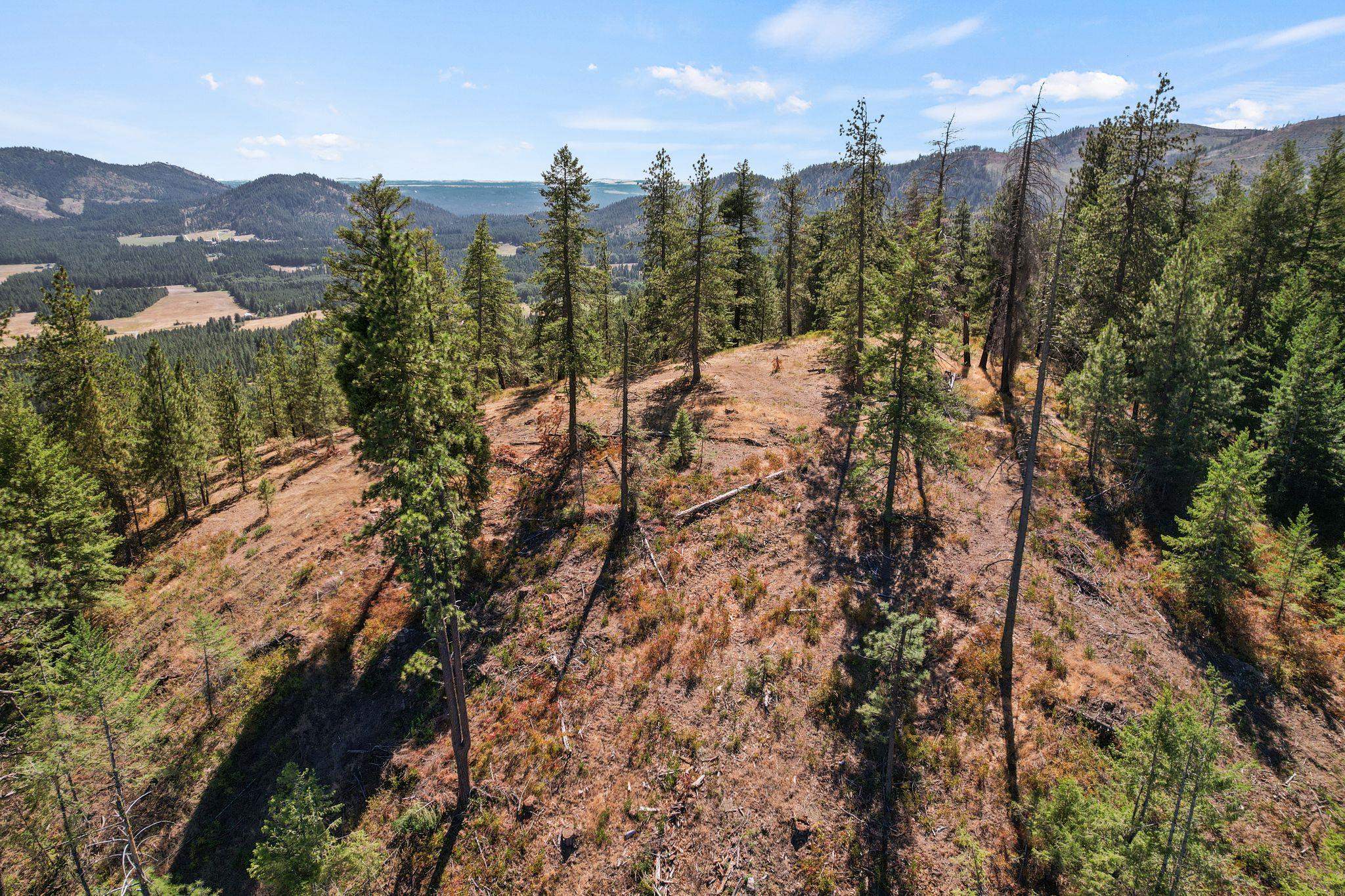 4941 Redman Lots A, B, C Rd - Photo 38