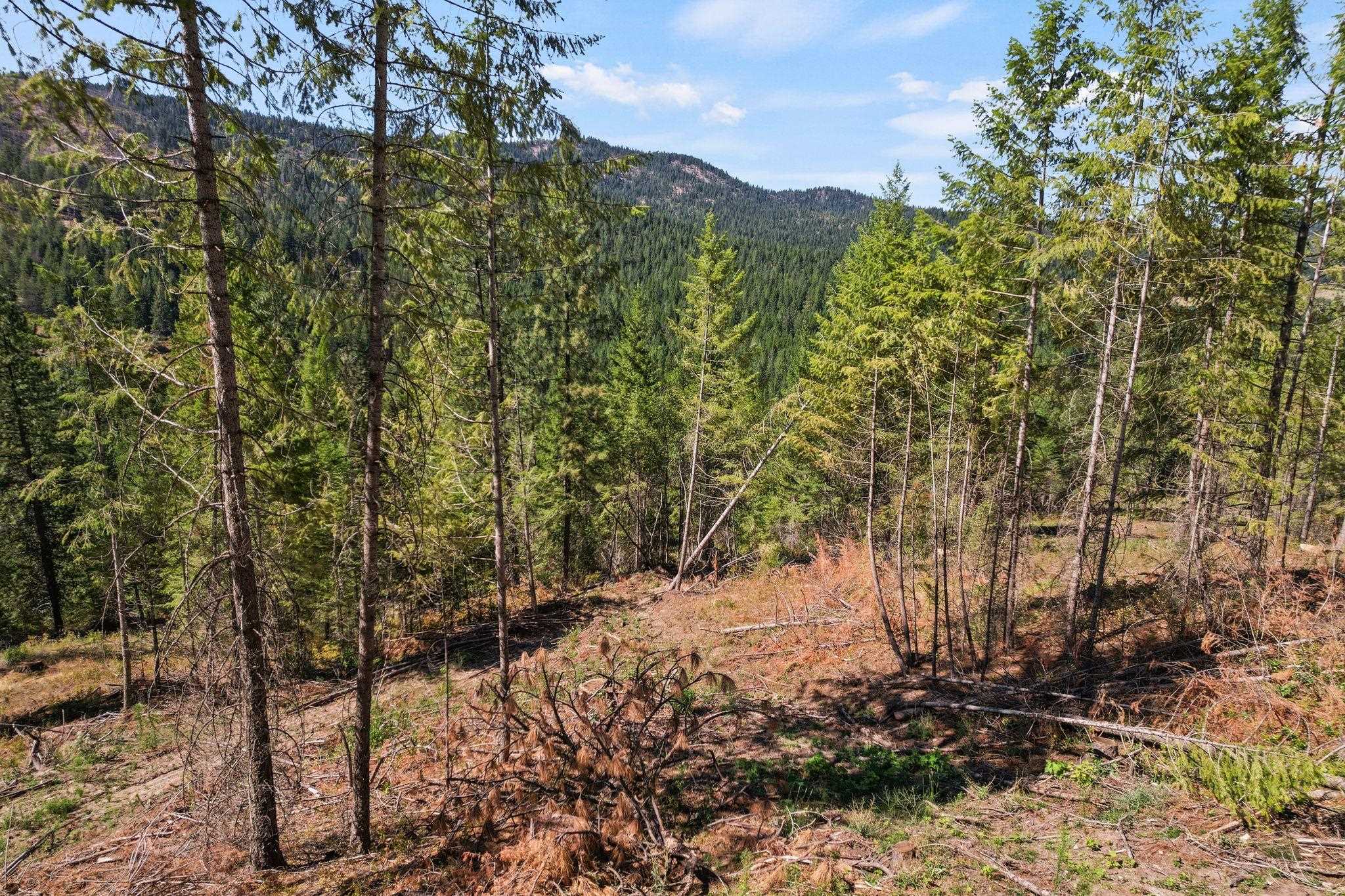 4941 Redman Lots A, B, C Rd - Photo 41