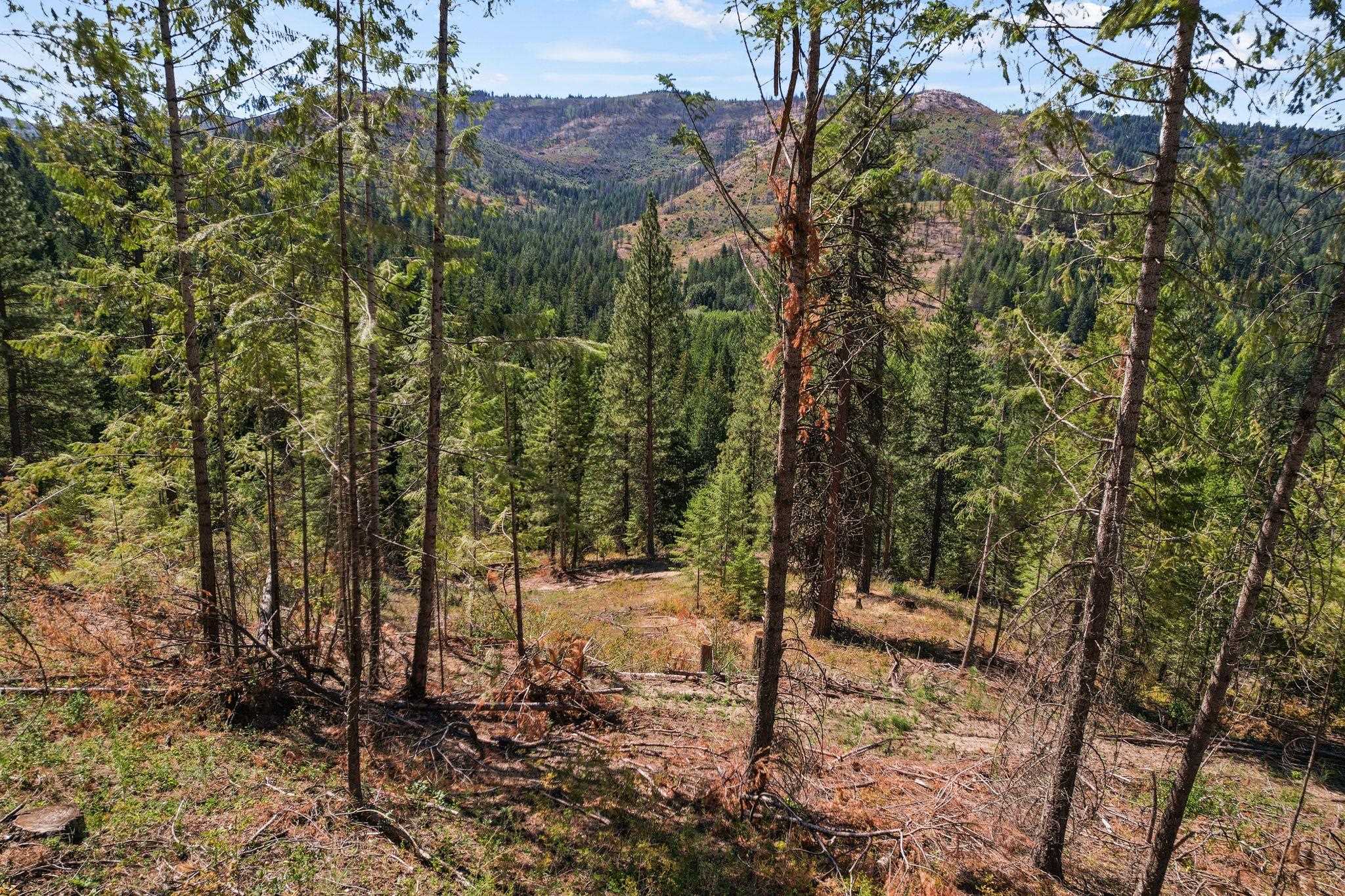 4941 Redman Lots B and C Rd - Photo 8