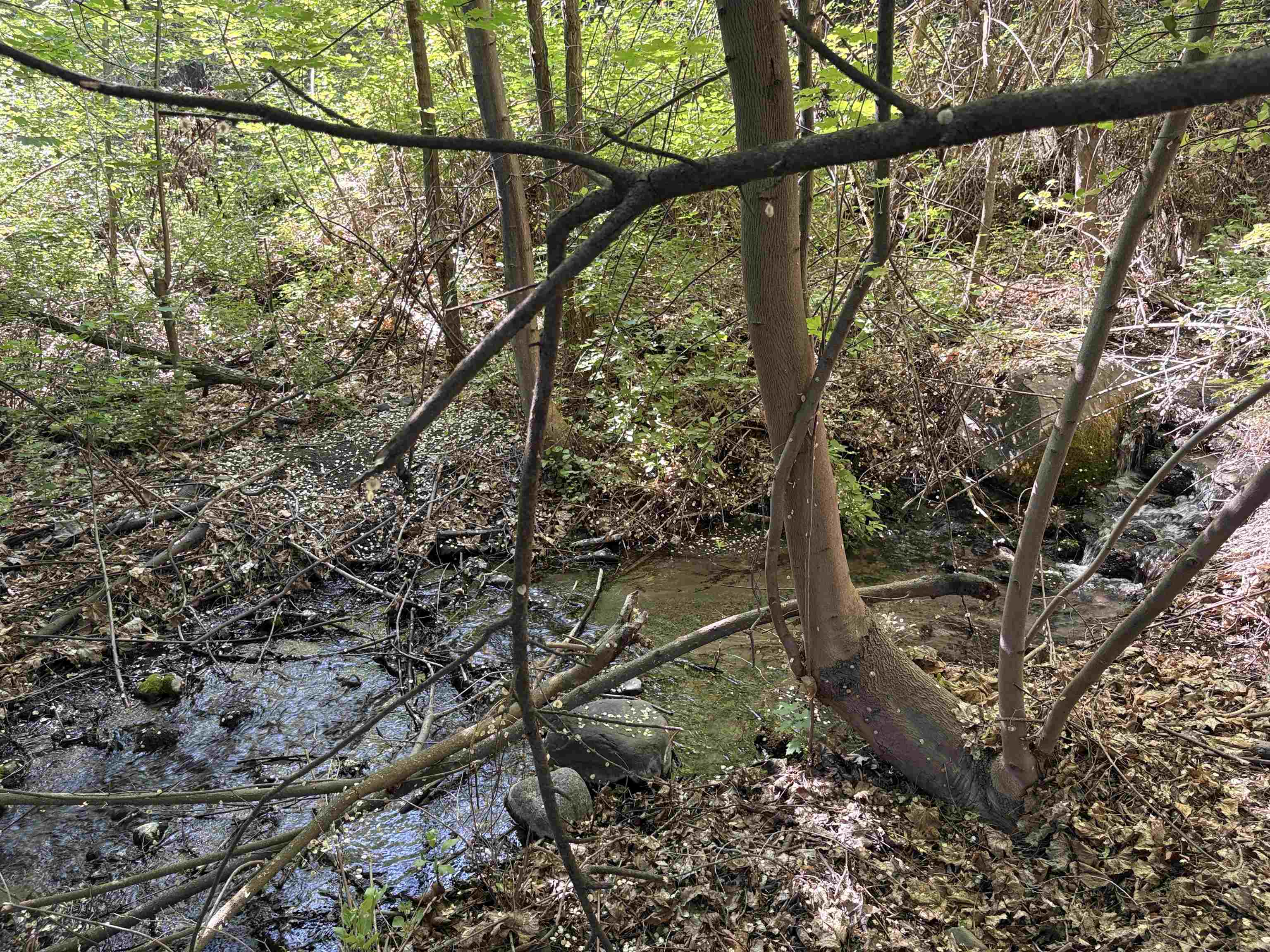 378C Elmer City Access Rd - Photo 26