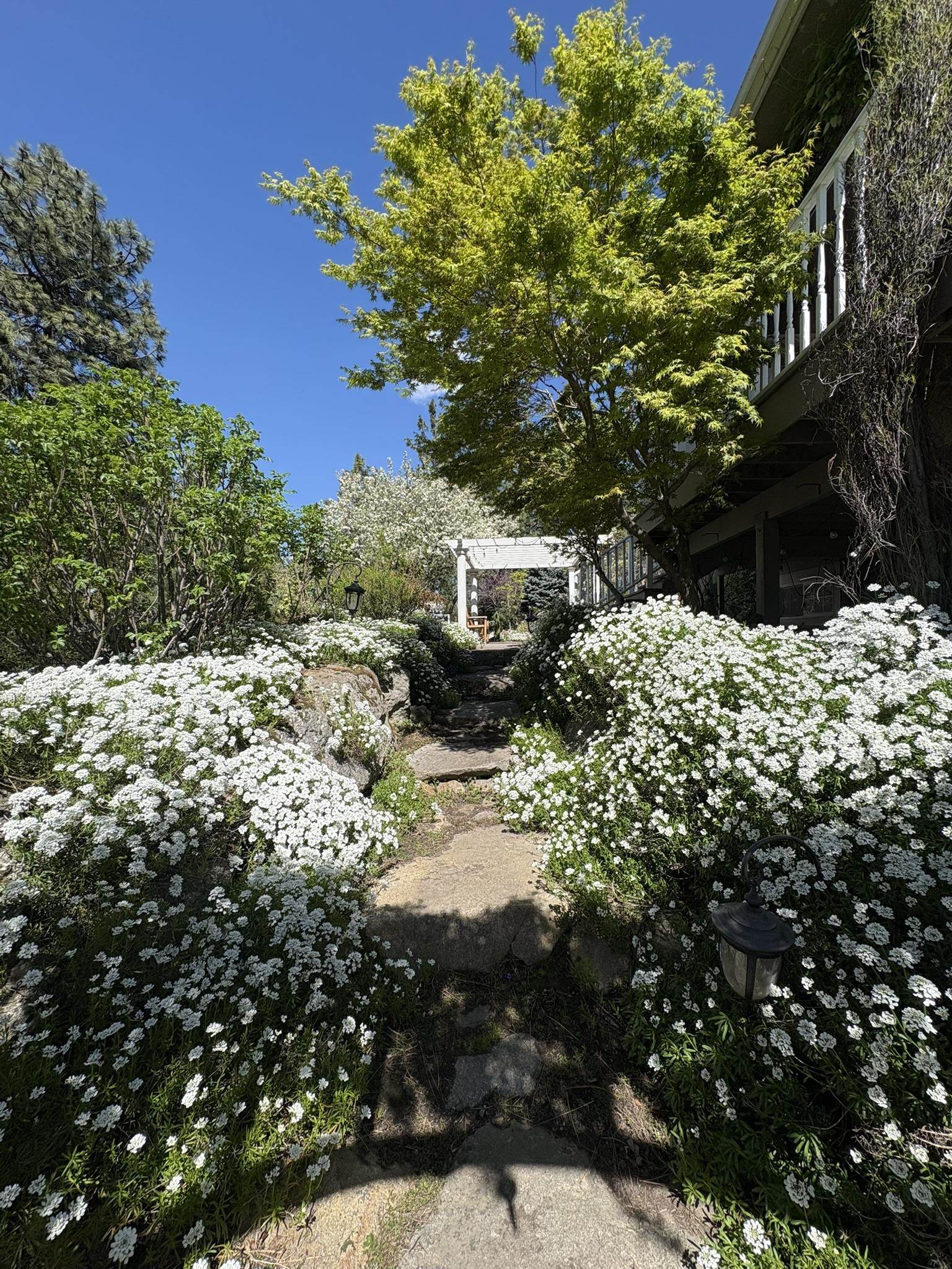 4310 S Horizon Hill Ln - Photo 39