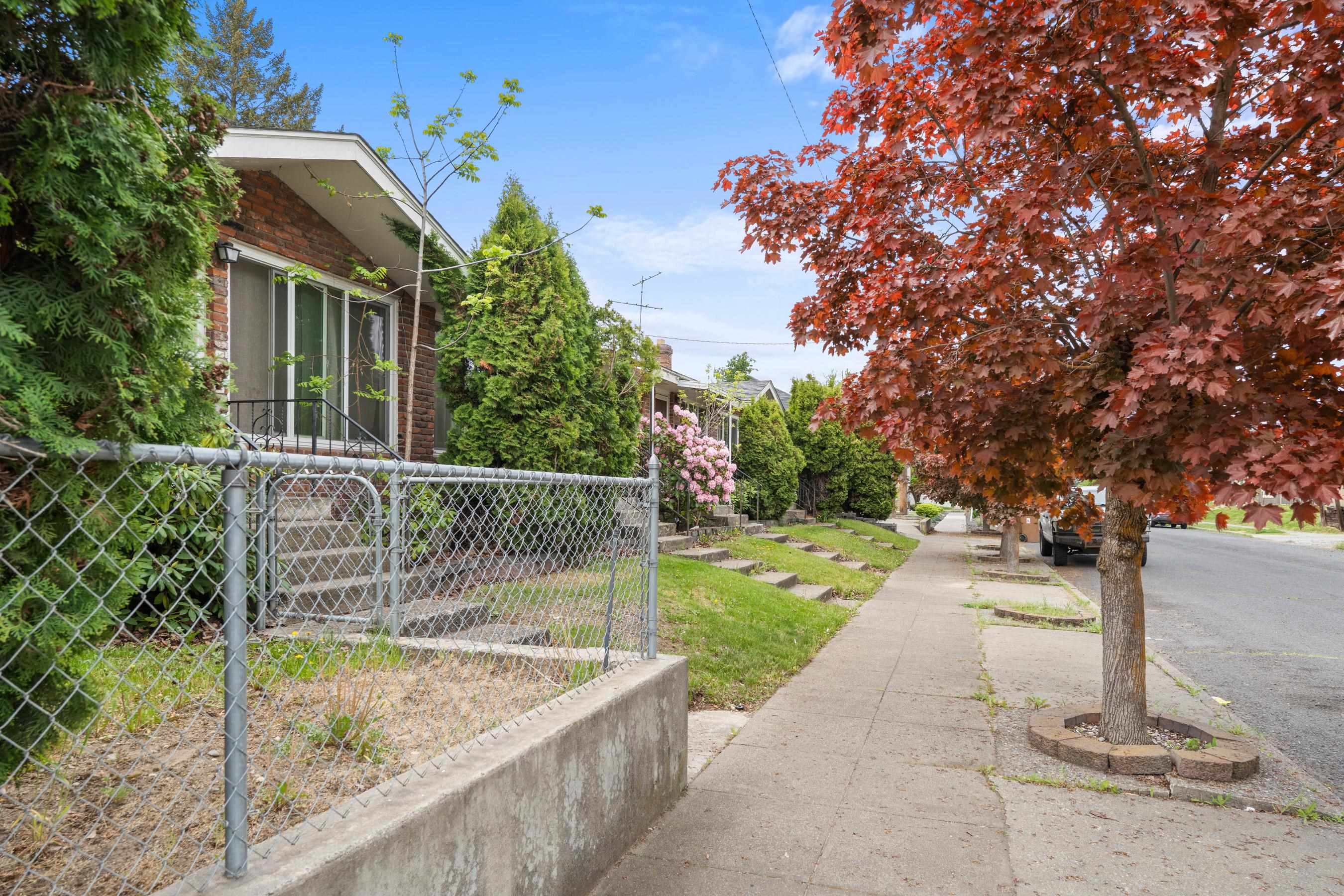 805 W Alice Ave - Photo 3