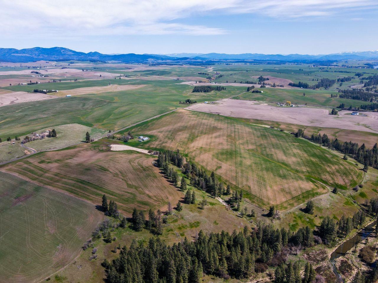 NKA E Rockford-Idaho Rd - Photo 15