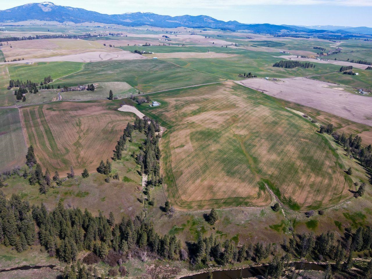 NKA E Rockford-Idaho Rd - Photo 16