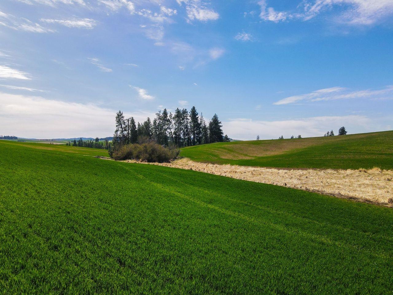 NKA E Rockford-Idaho Rd - Photo 29