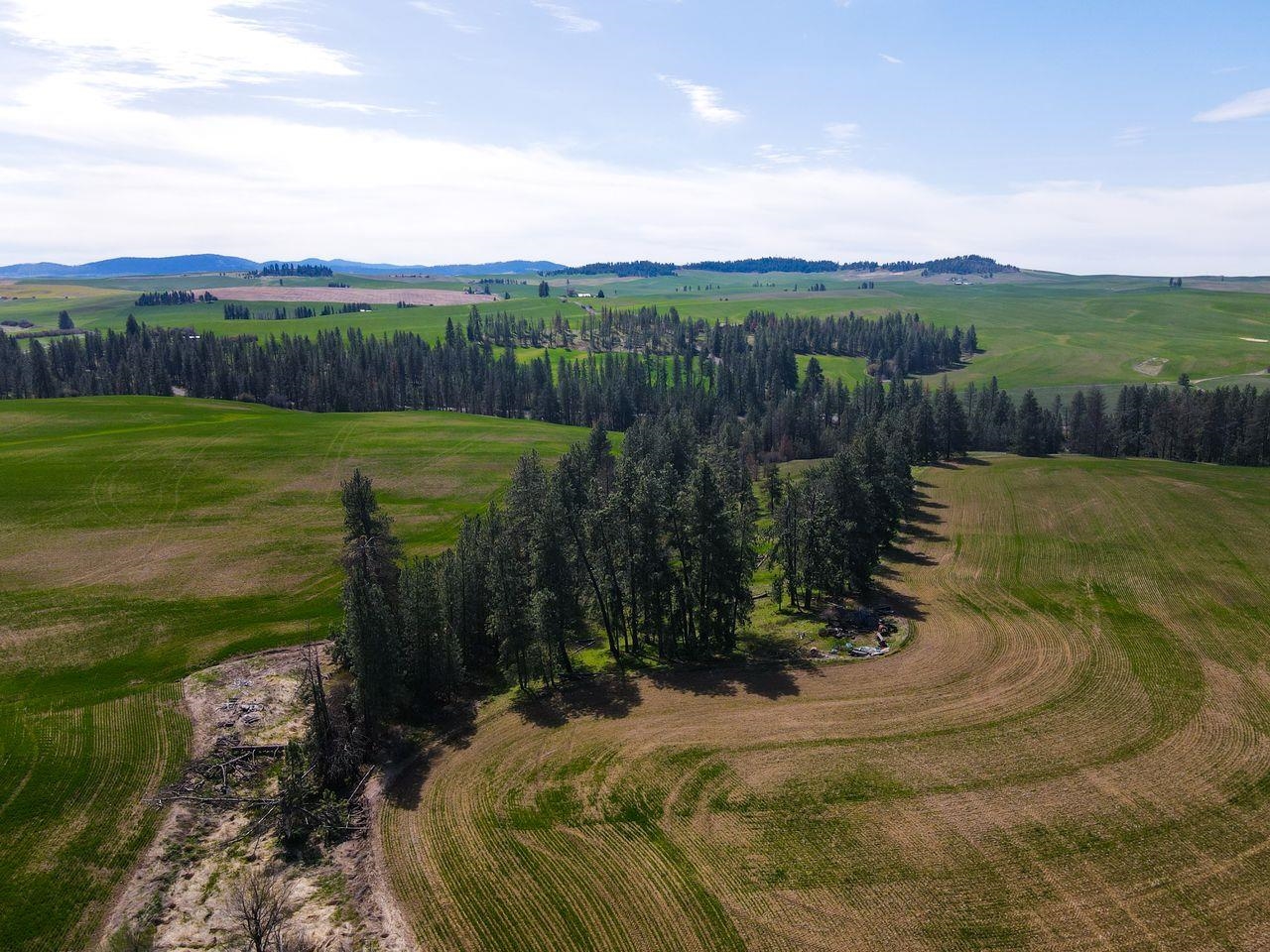 NKA E Rockford-Idaho Rd - Photo 31