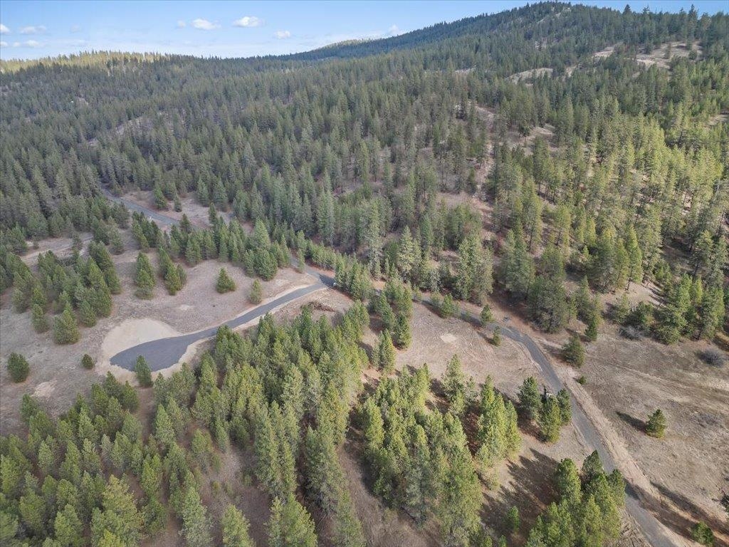 NKA Lower Weaver Way - Photo 17