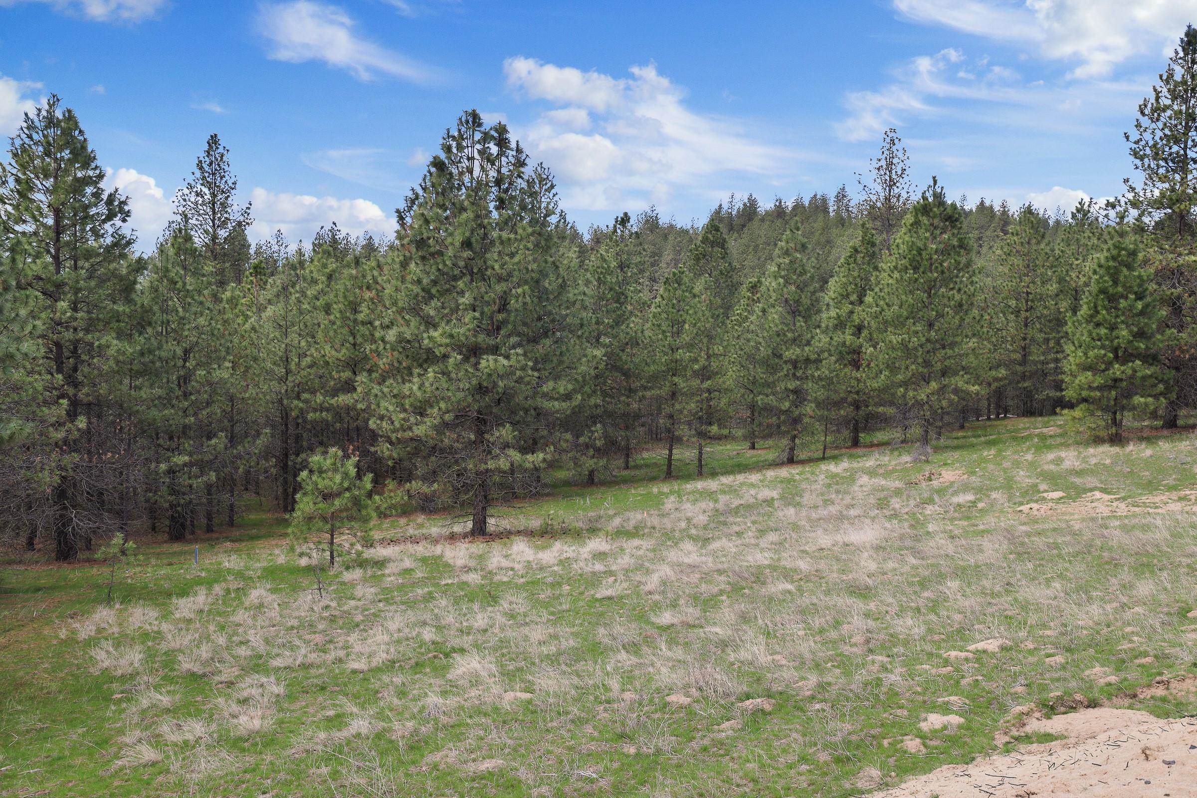 NKA Lower Weaver Way - Photo 4
