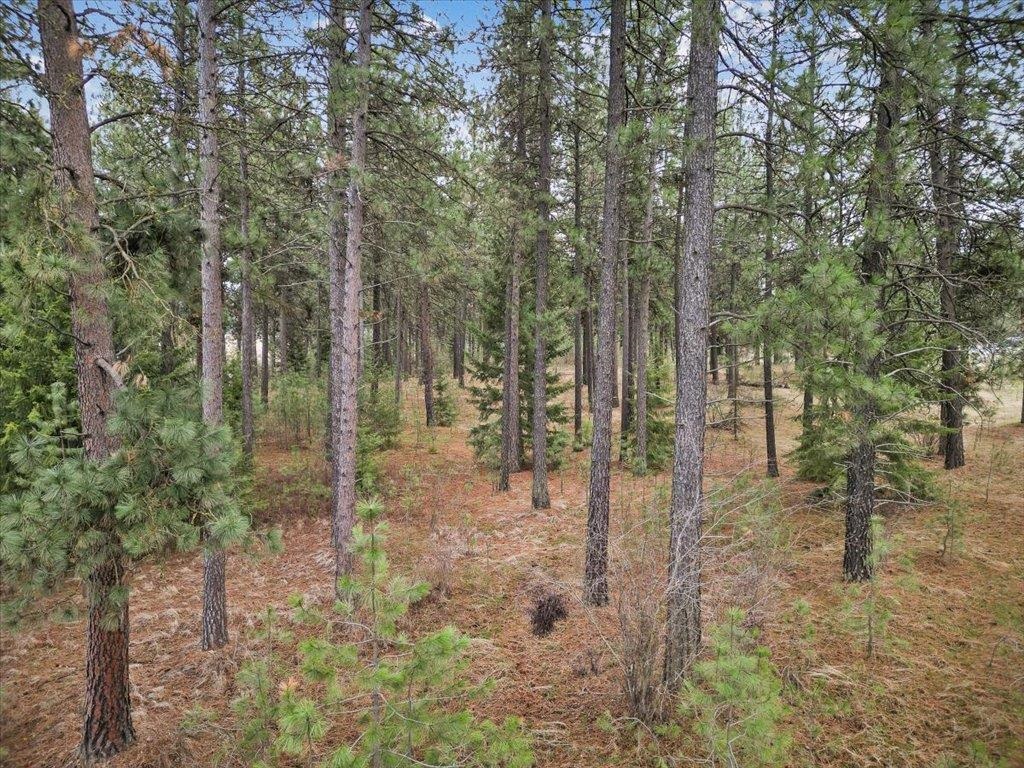 NKA Argonne-Bigelow Gulch Rd - Photo 10