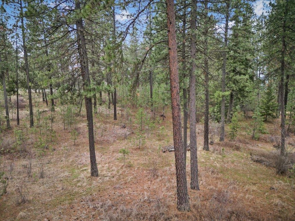 NKA Argonne-Bigelow Gulch Rd - Photo 12