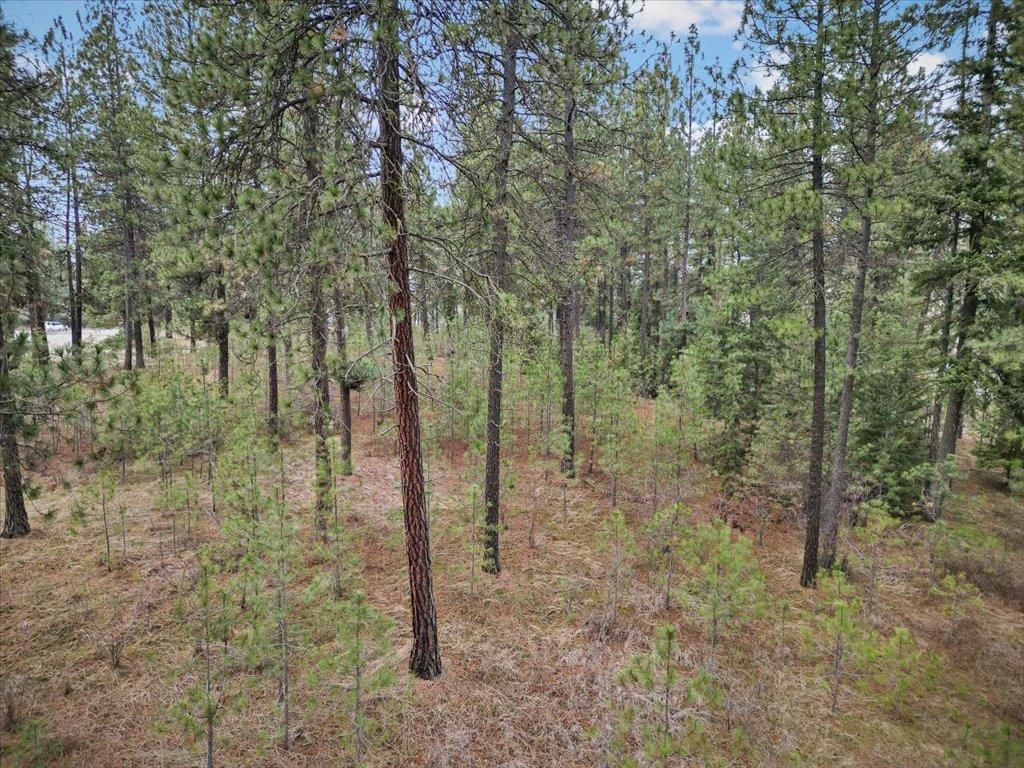 NKA Argonne-Bigelow Gulch Rd - Photo 13