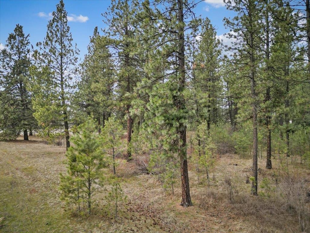 NKA Argonne-Bigelow Gulch Rd - Photo 14