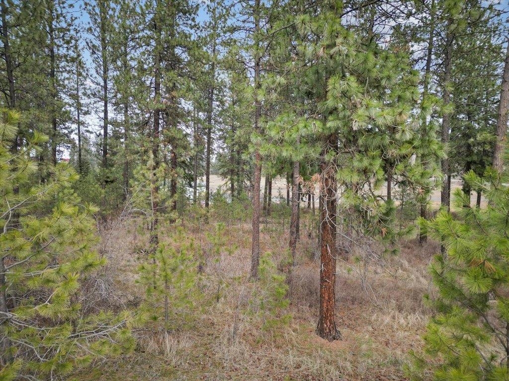 NKA Argonne-Bigelow Gulch Rd - Photo 15