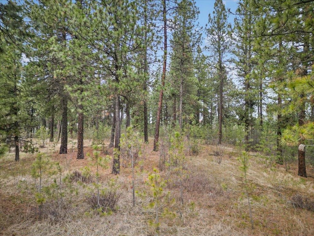NKA Argonne-Bigelow Gulch Rd - Photo 16