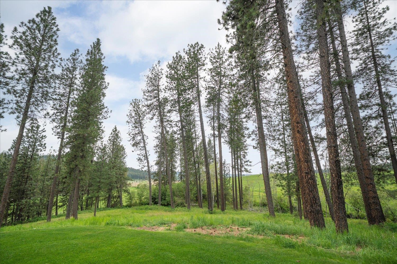 12421 E Mt Spokane Park Dr - Photo 36