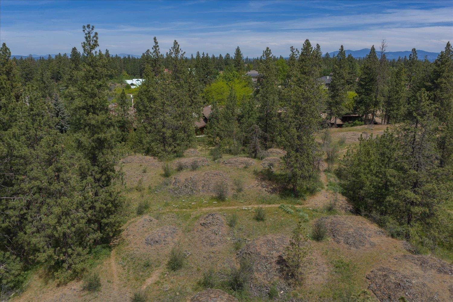 2018 E 30th Ave - Photo 45