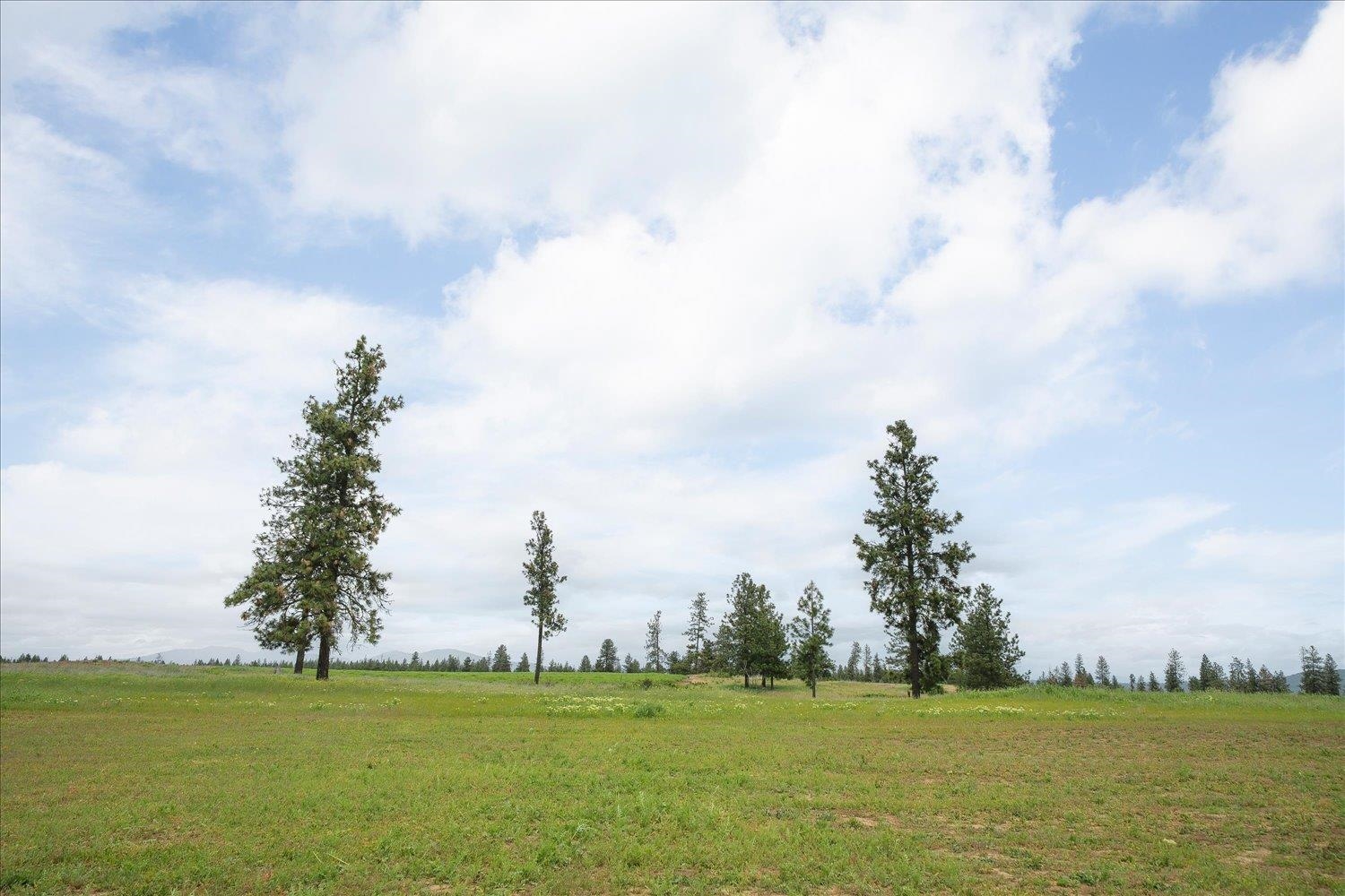14506 W Pine Bluff Rd - Photo 42