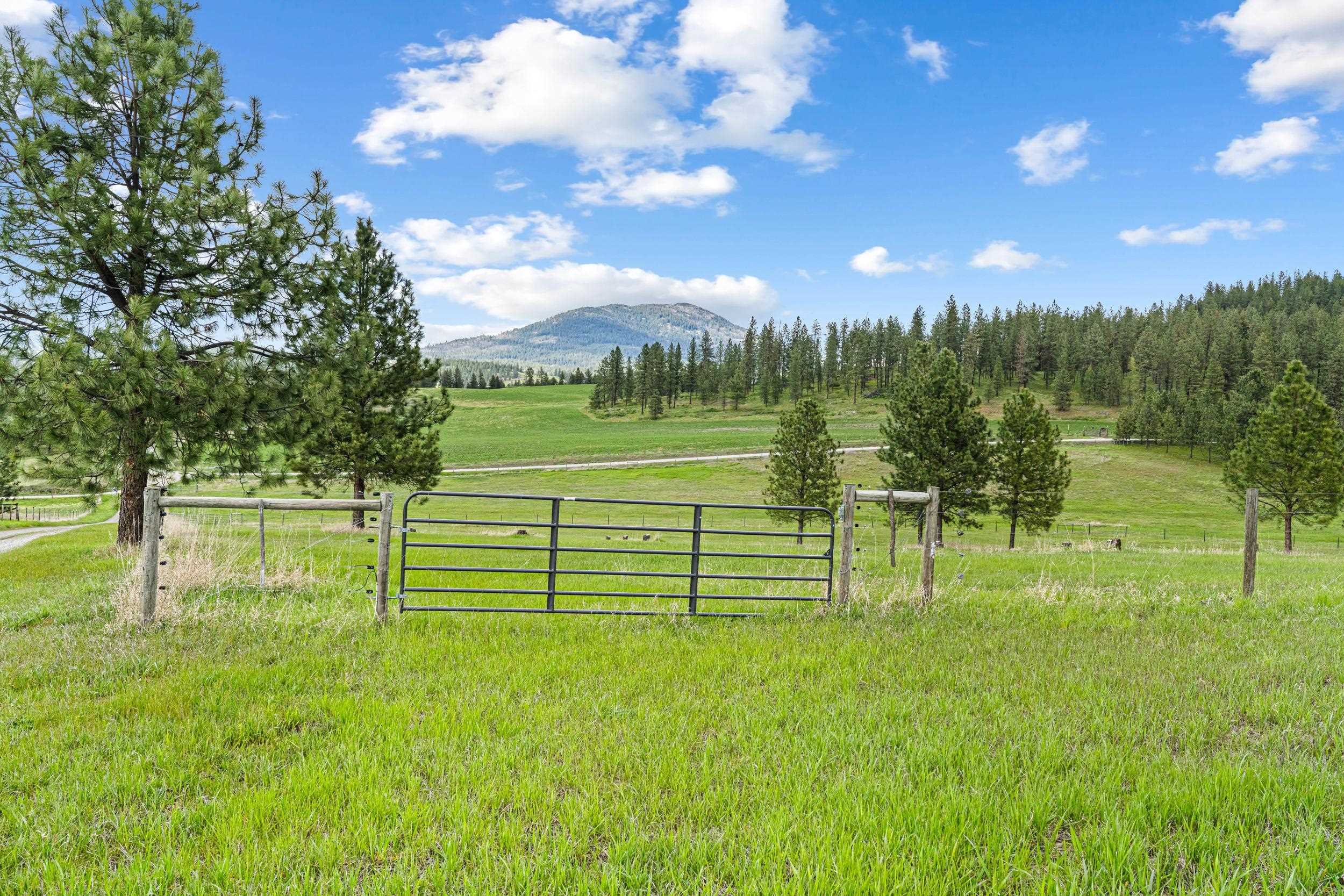 688 A Mahoney Rd - Photo 45