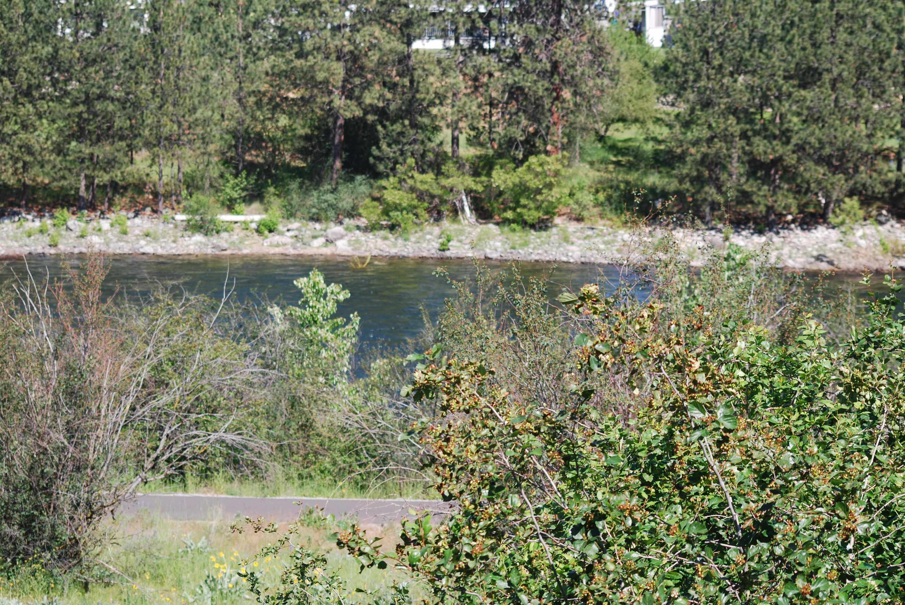 19215 E Riverwalk Ln - Photo 4