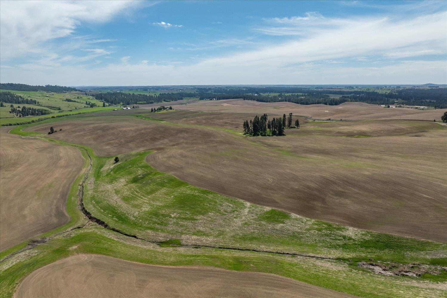 00XXX Jackson Rd, Lot 17 - Photo 8