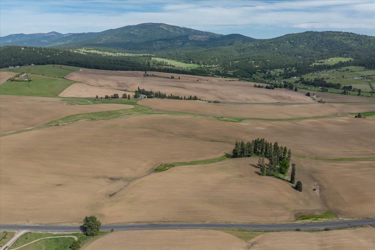 00XXX Jackson Rd, Lot 17 - Photo 12