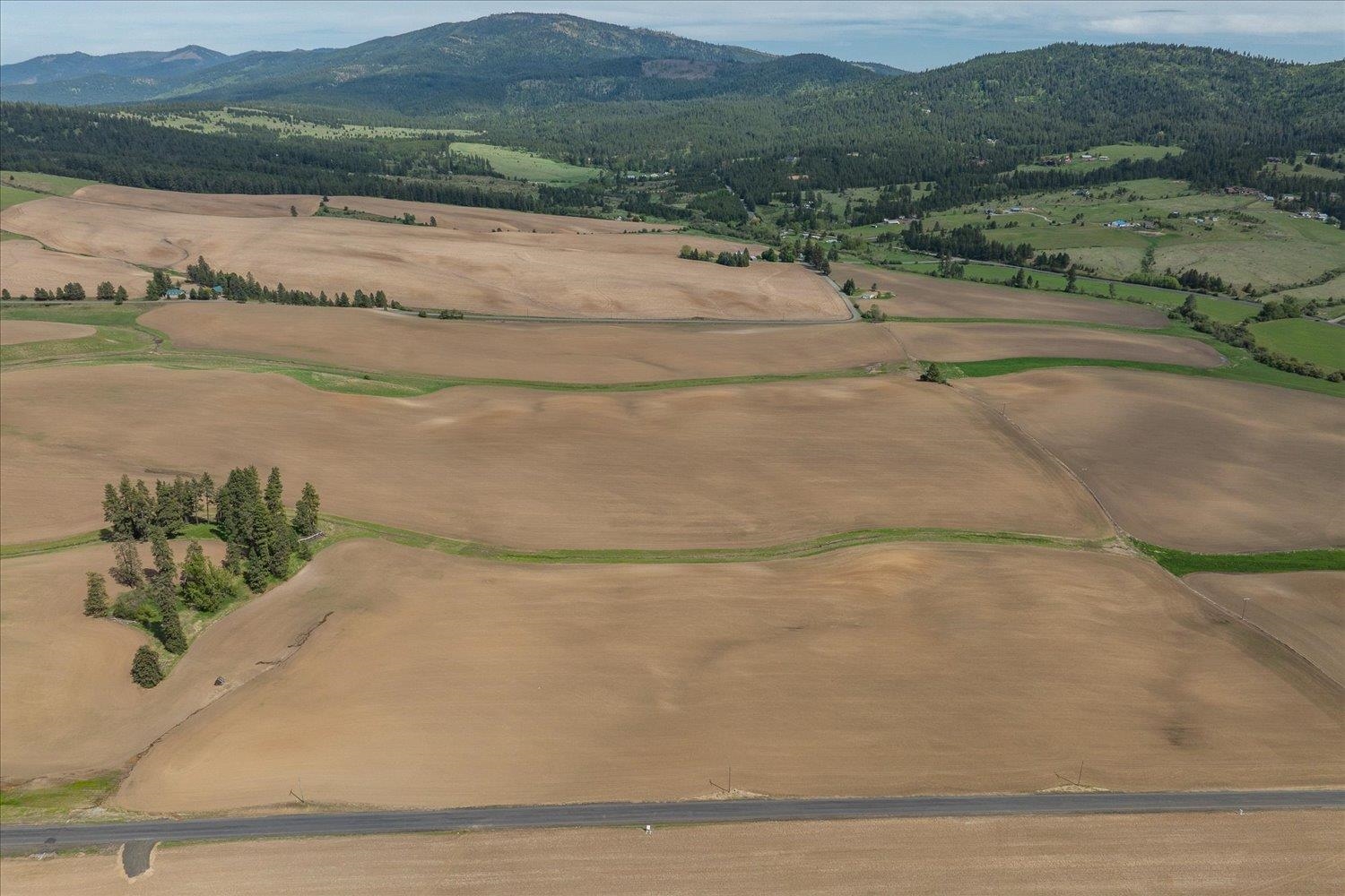 00XXX Jackson Rd, Lot 17 - Photo 13