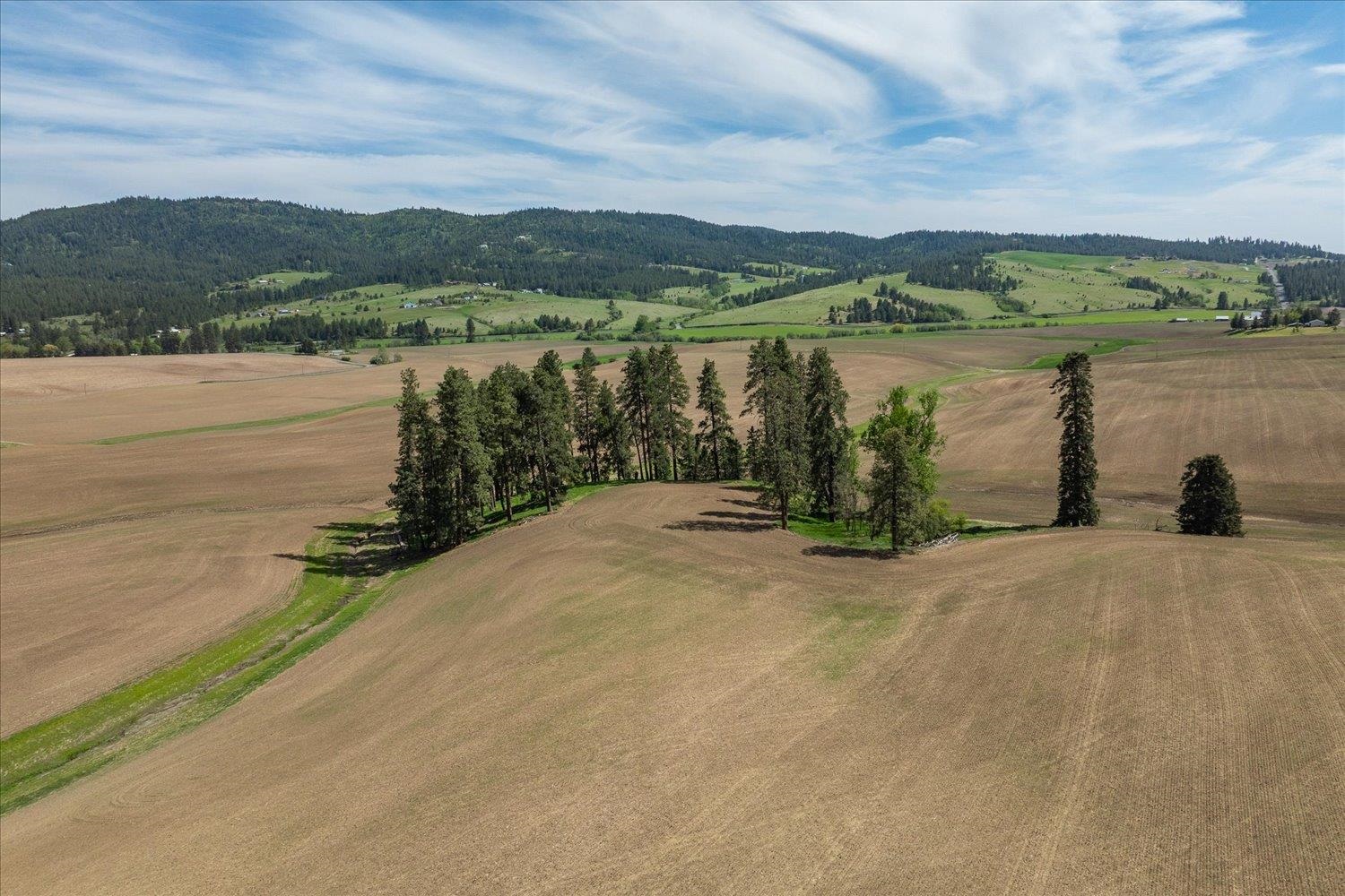 00XXX Jackson Rd, Lot 17 - Photo 18