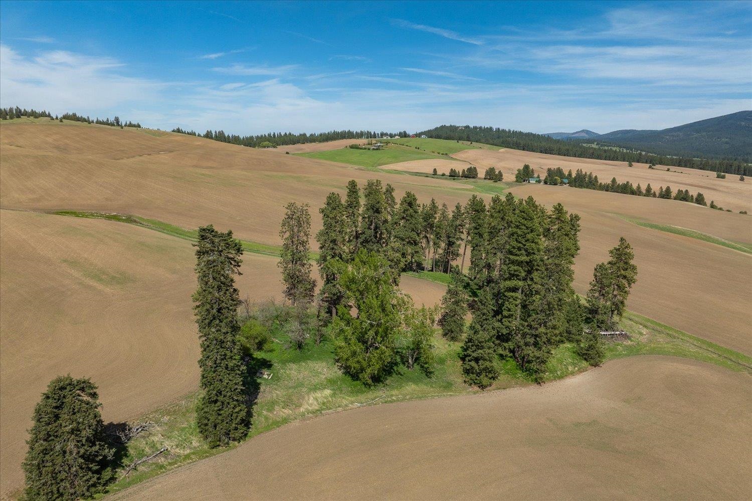 00XXX Jackson Rd, Lot 17 - Photo 19