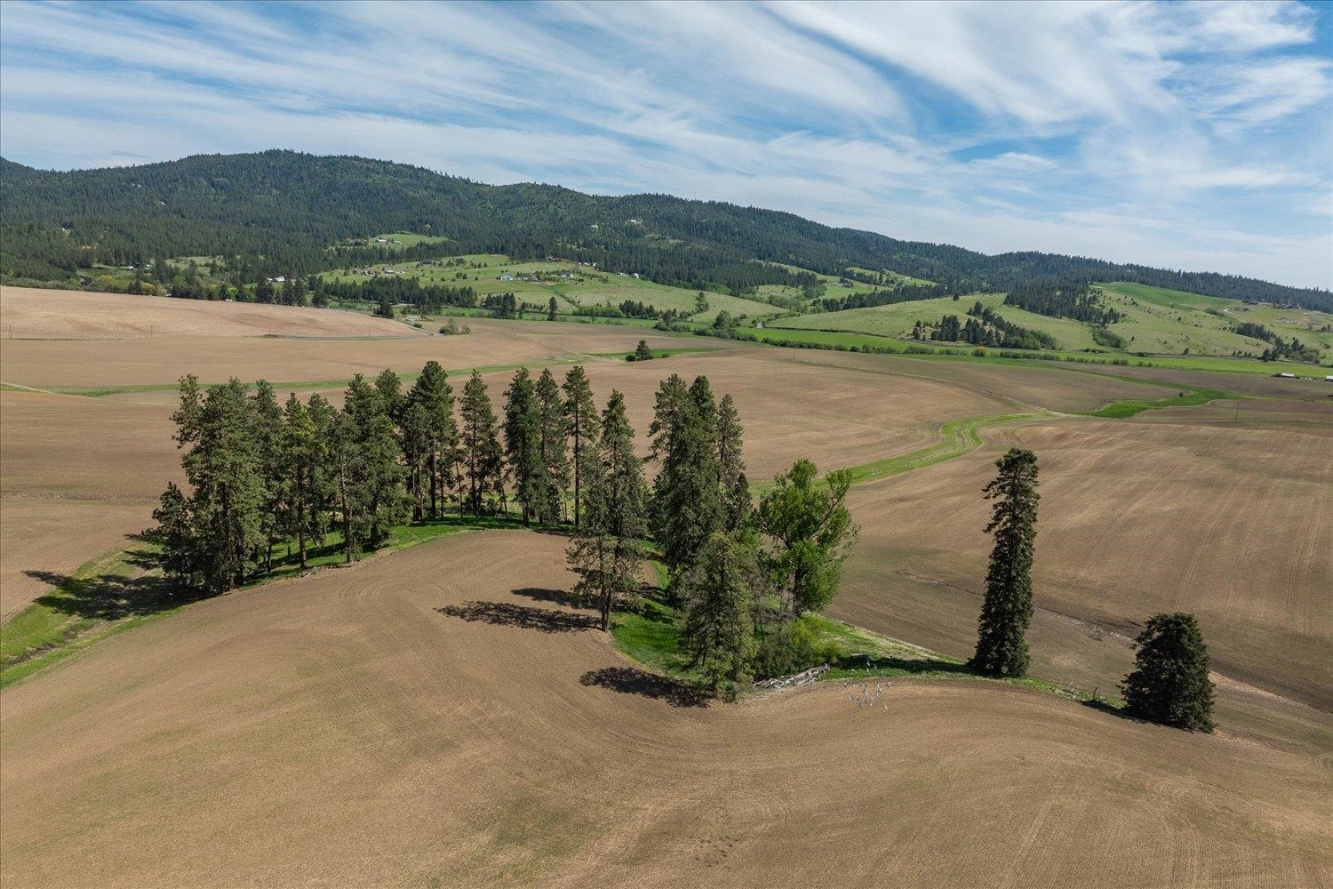00XXX Jackson Rd, Lot 17 - Photo 21